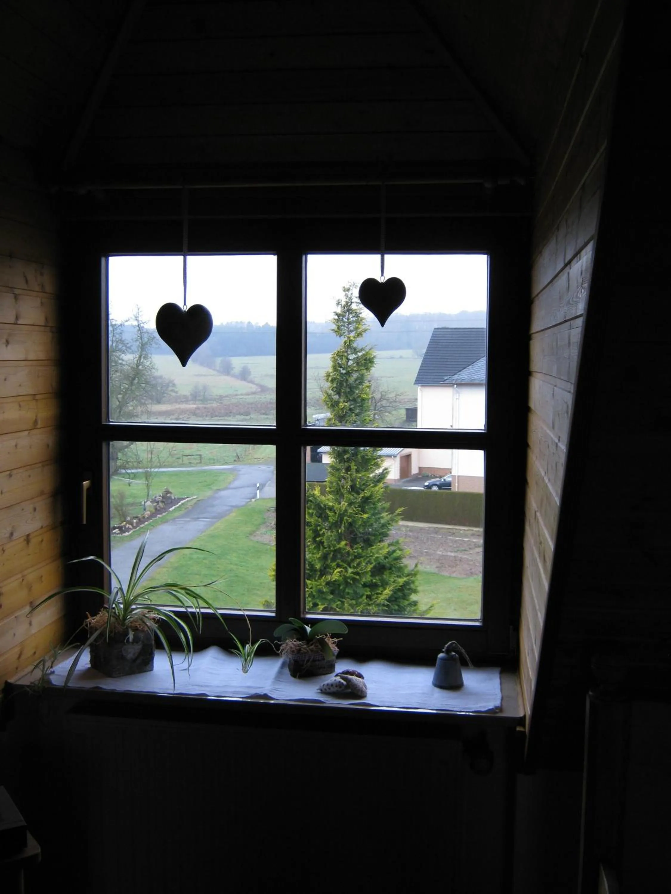 View (from property/room) in Stierstall-Suite Pension Wahlenau