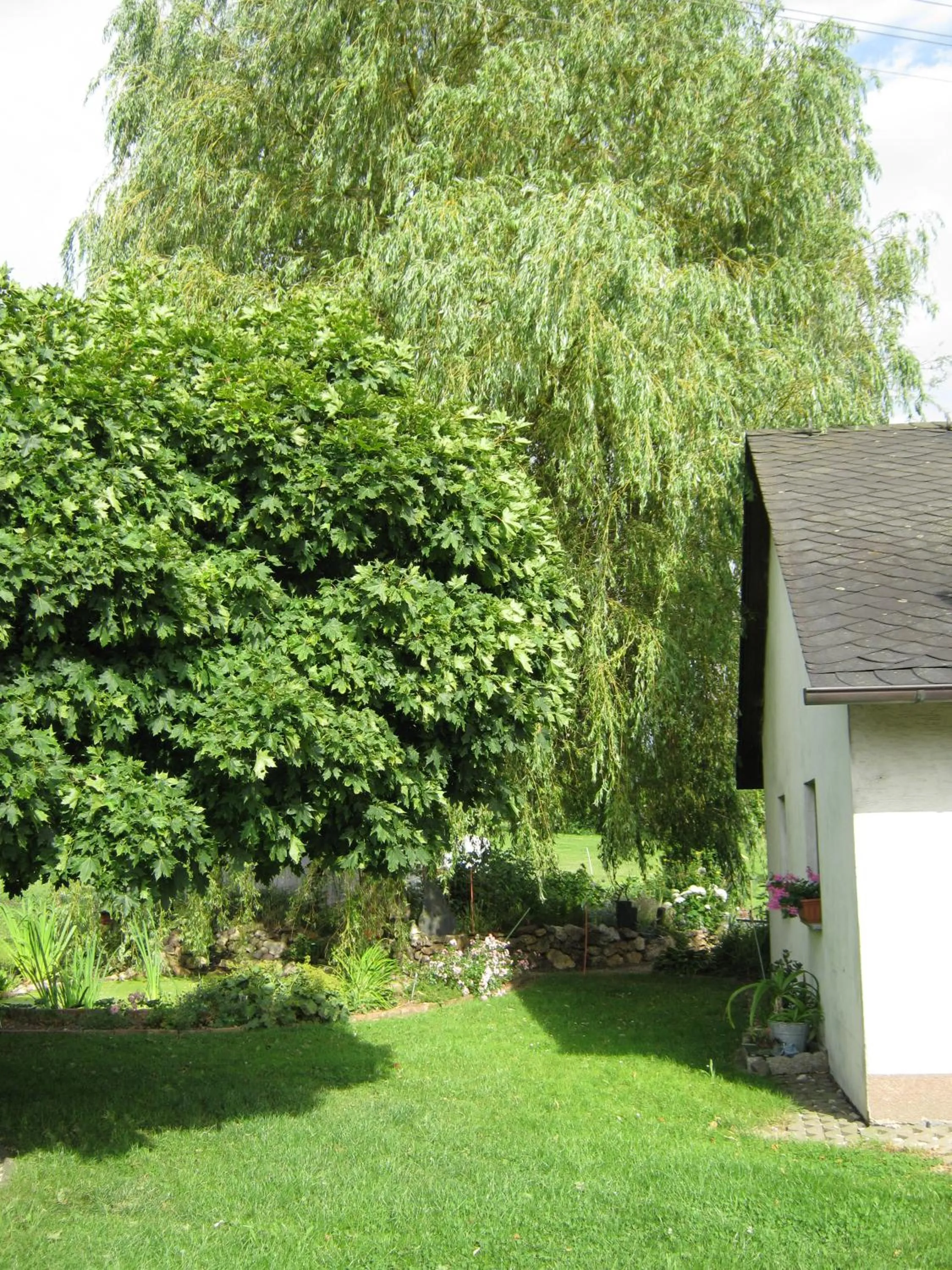 Garden in Stierstall-Suite Pension Wahlenau