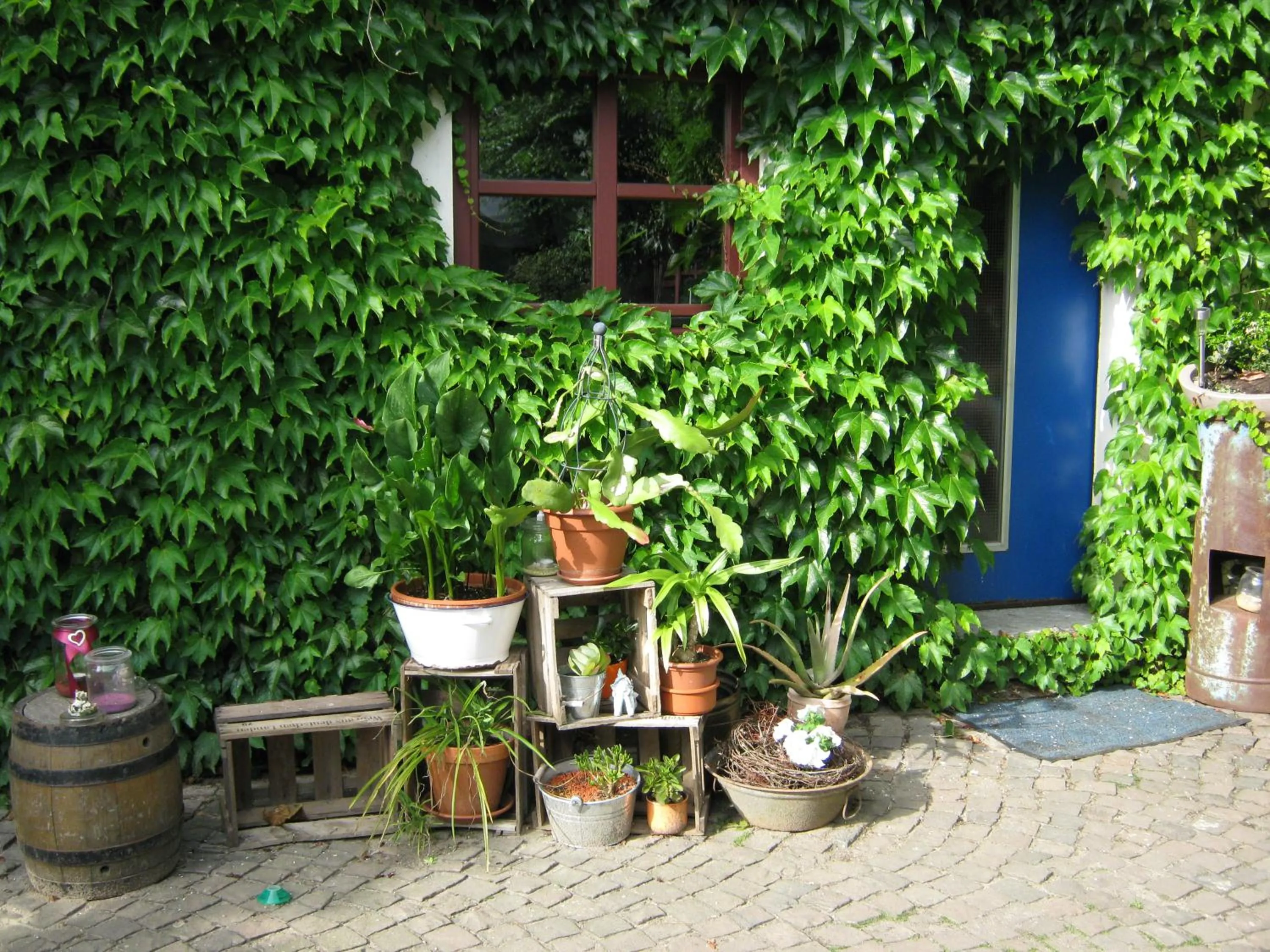 Garden in Stierstall-Suite Pension Wahlenau
