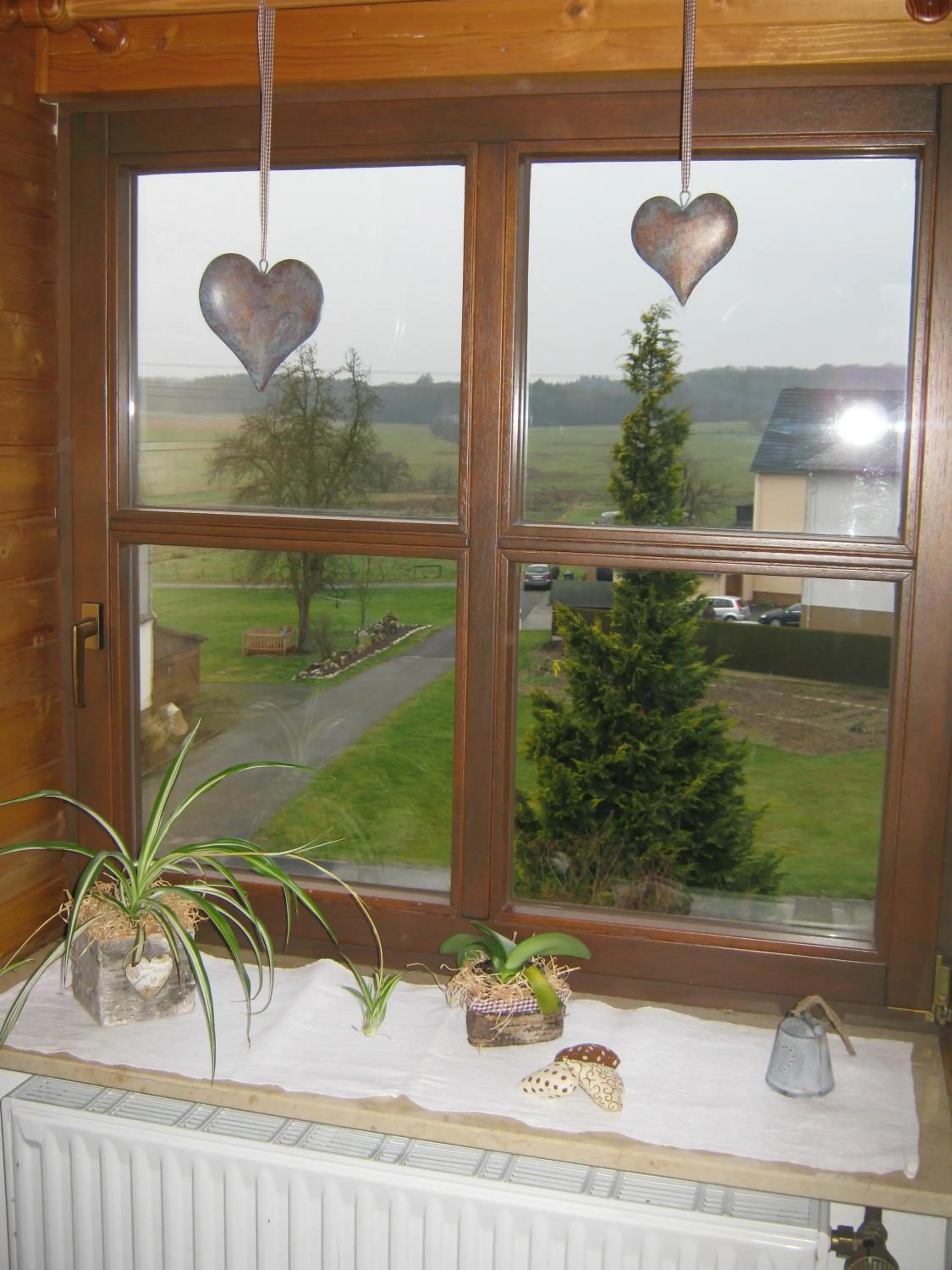 View (from property/room) in Stierstall-Suite Pension Wahlenau