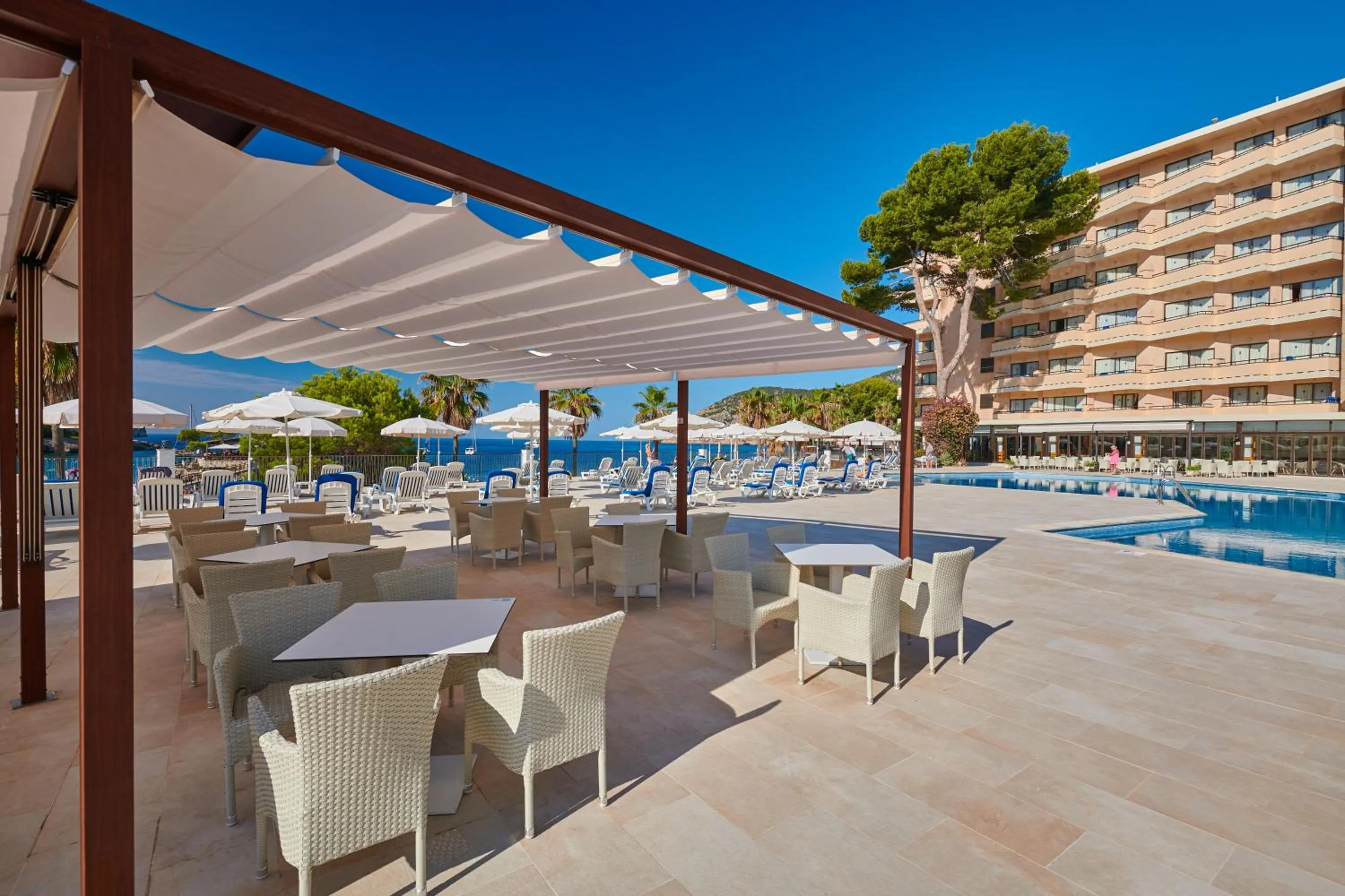 Swimming pool in Grupotel Playa Camp de Mar - Adults Only