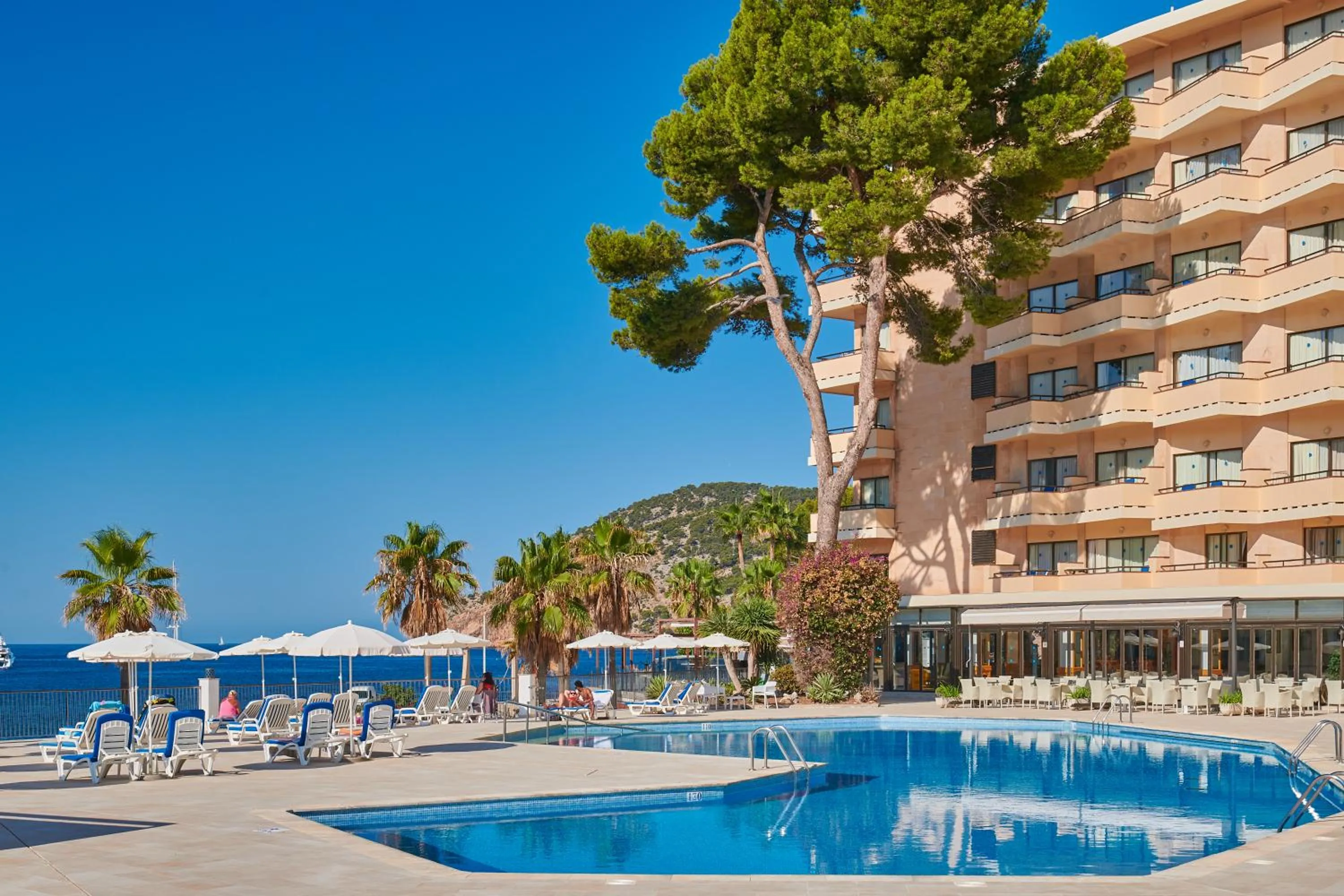 Swimming pool in Grupotel Playa Camp de Mar - Adults Only