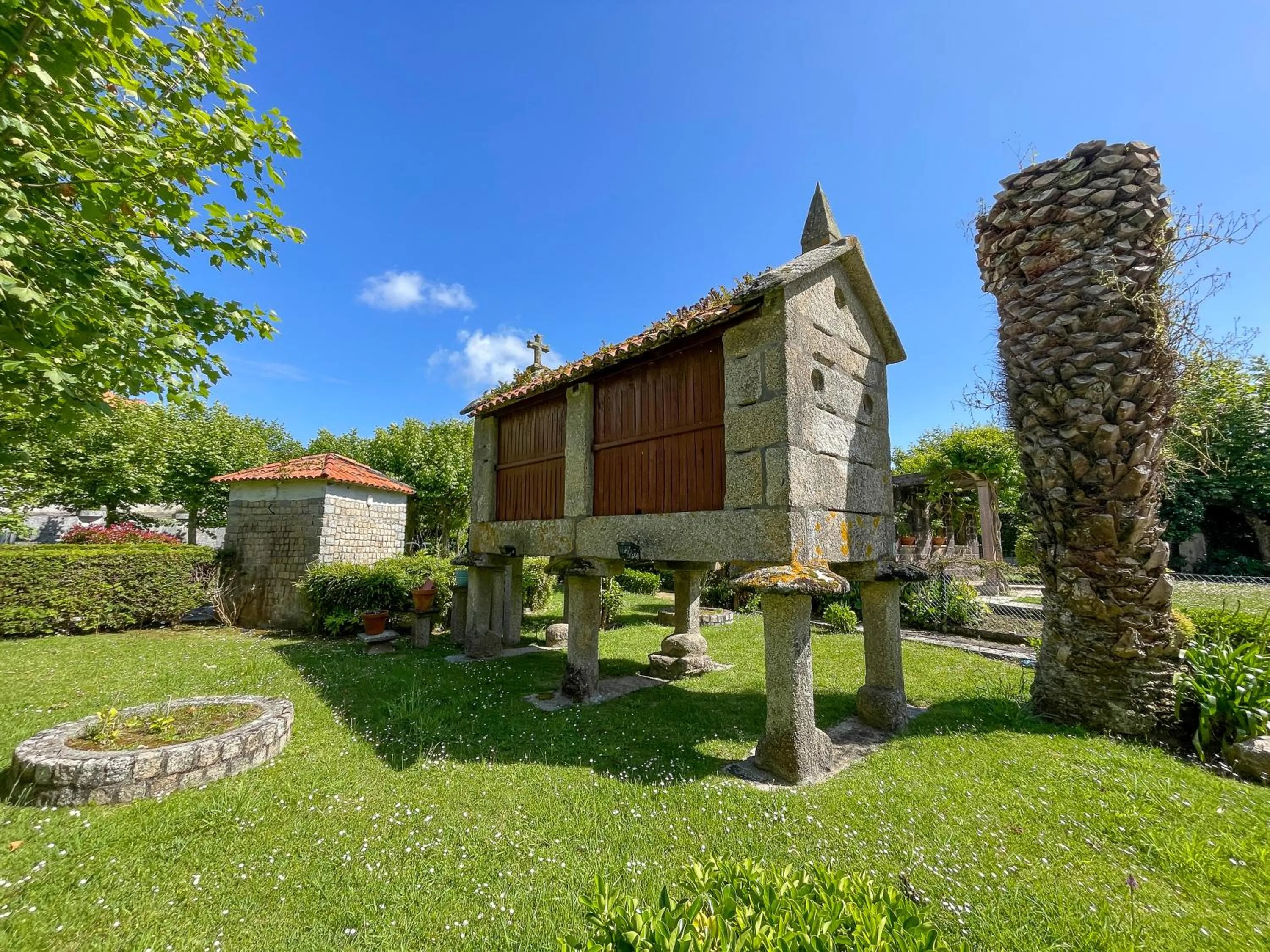 Garden in Apartamentos Revo Salinas 3000