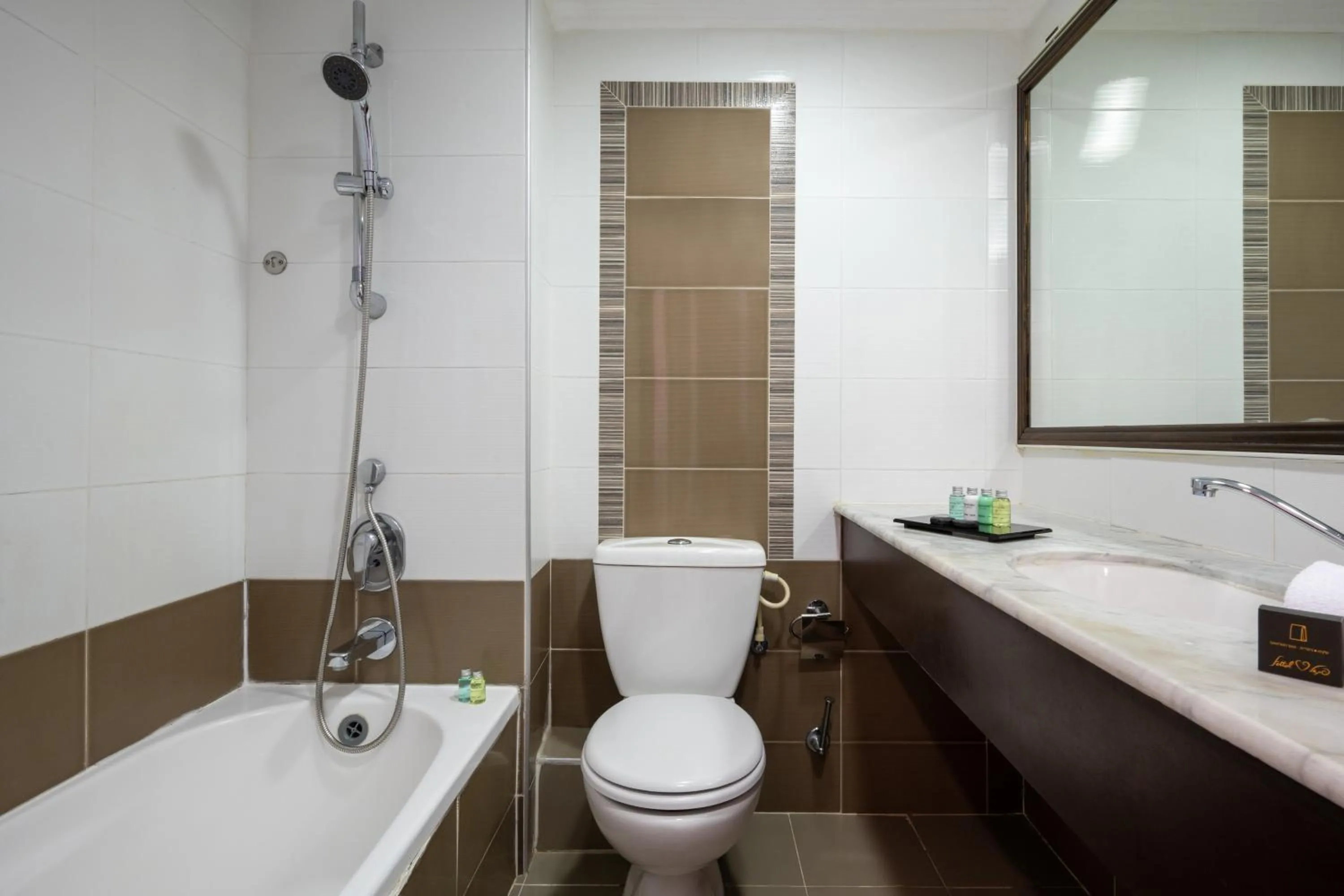 Toilet in Leonardo Inn Hotel Dead Sea