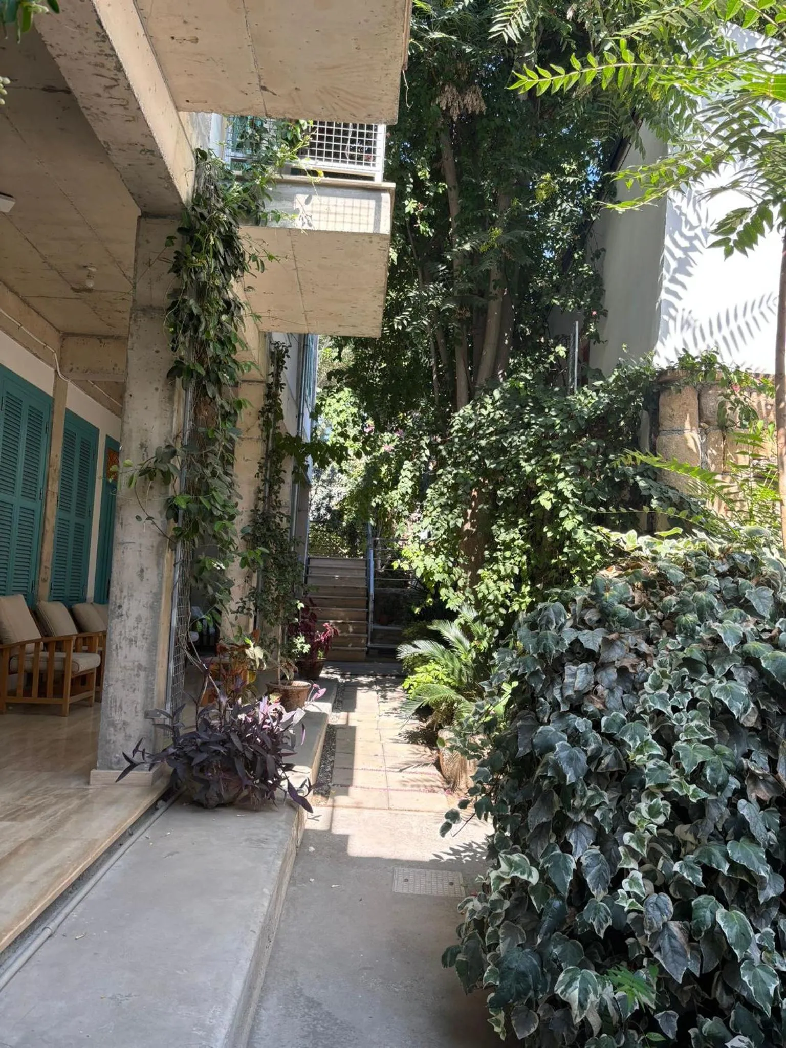 Garden in NICOSIA EAGLE EYE