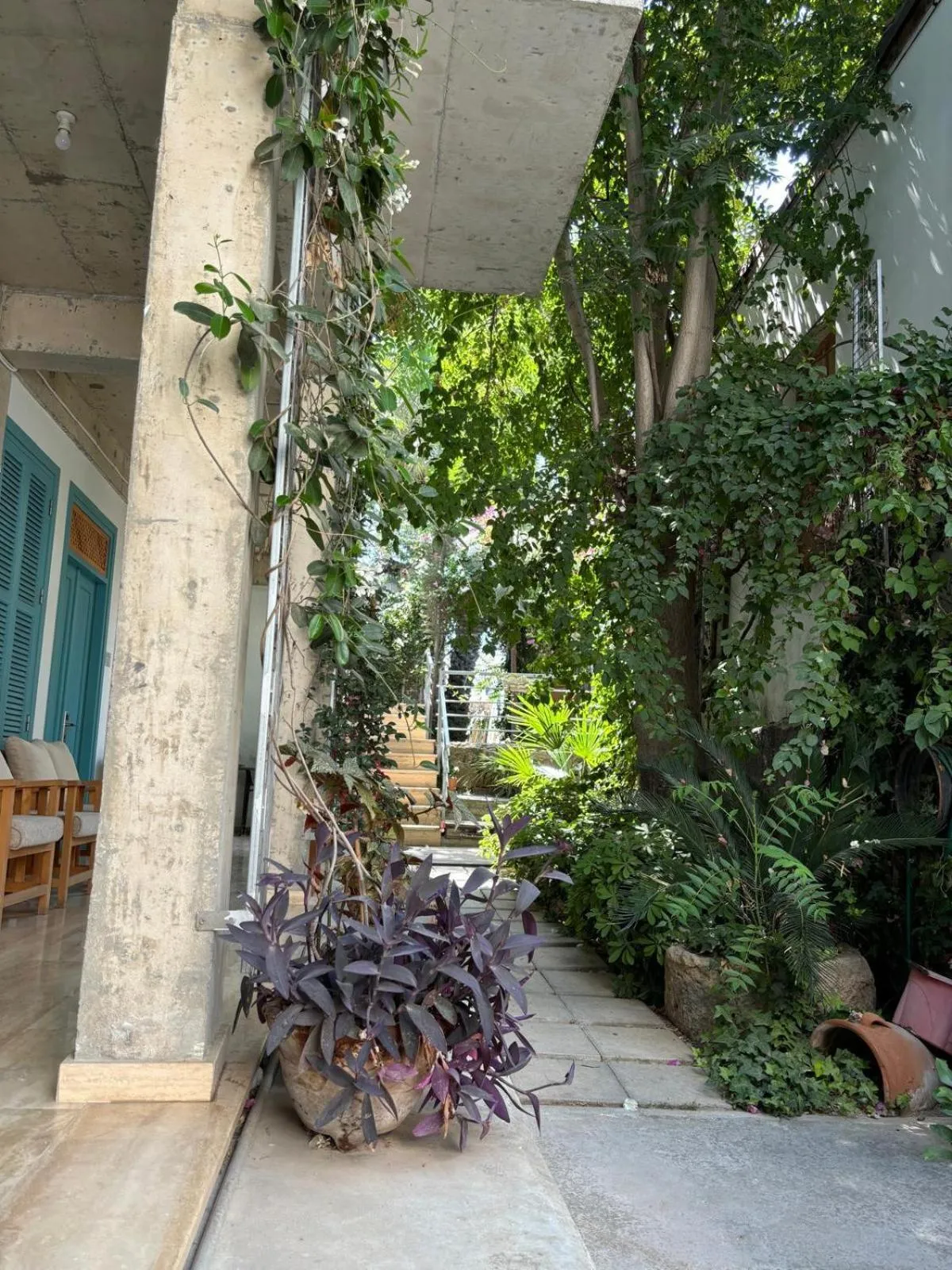 Garden in NICOSIA EAGLE EYE