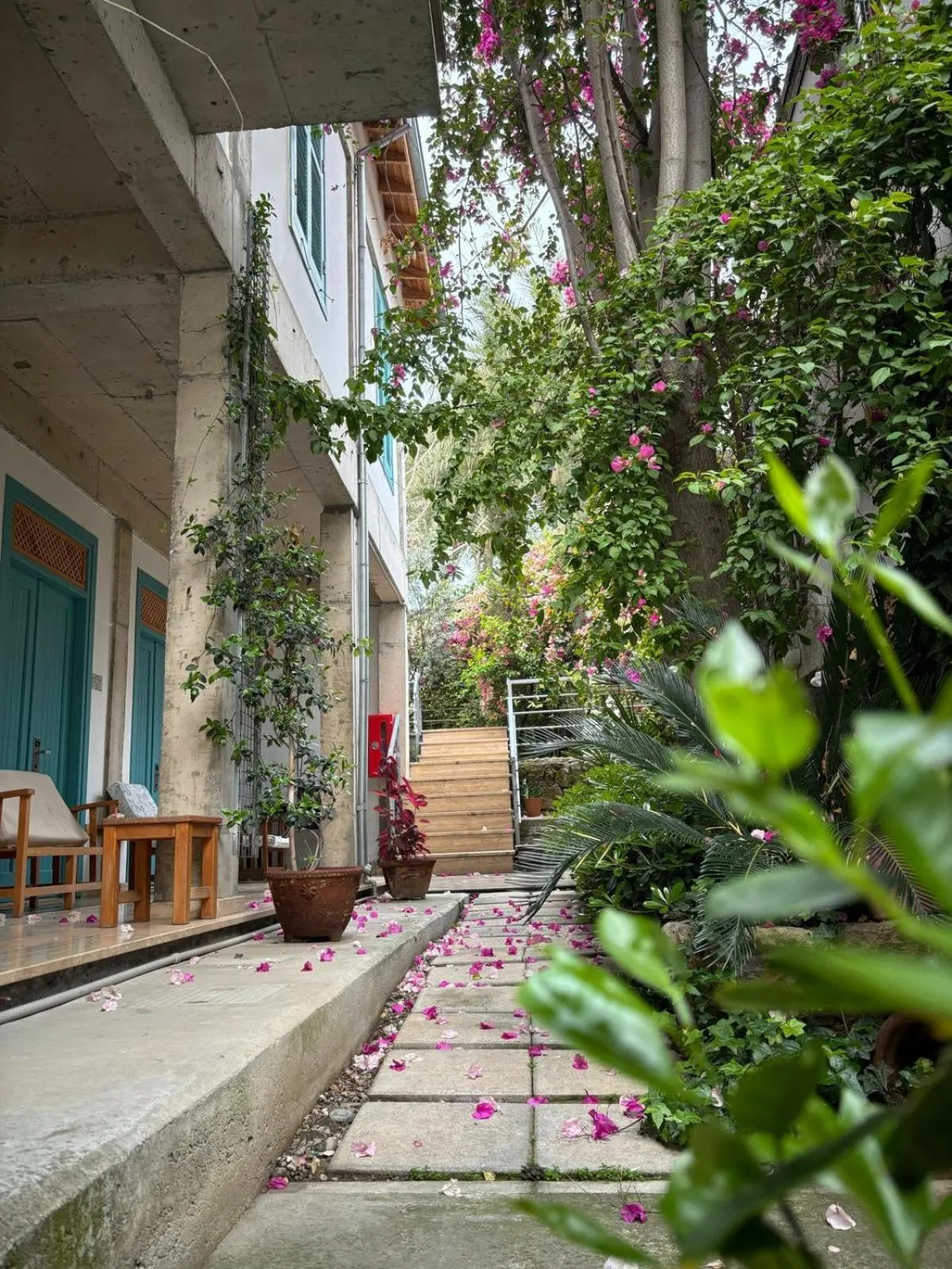 Garden in NICOSIA EAGLE EYE