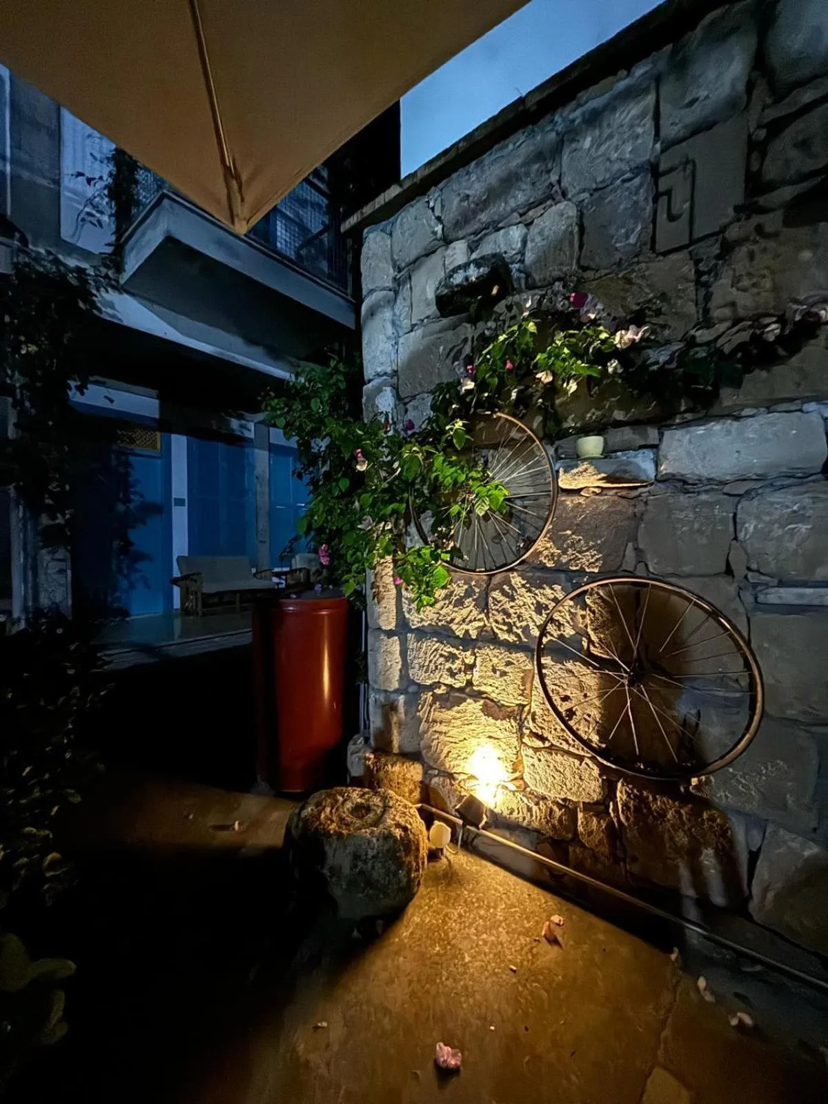 Garden in NICOSIA EAGLE EYE