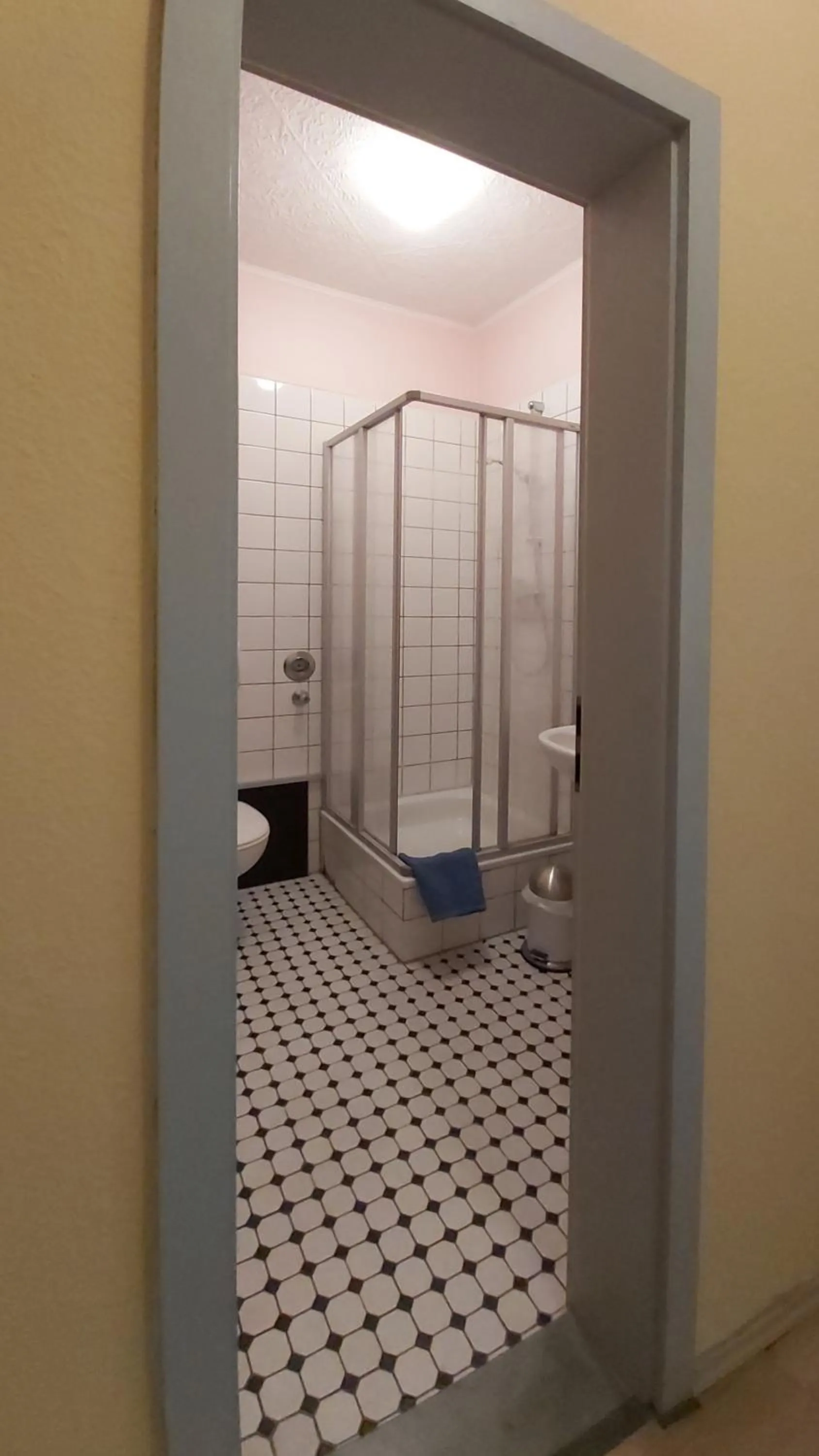 Shower in City-Ferienwohnungen-Dresden - zentral gelegen im Haus Louisenstrasse 11 - Dresden-Neustadt