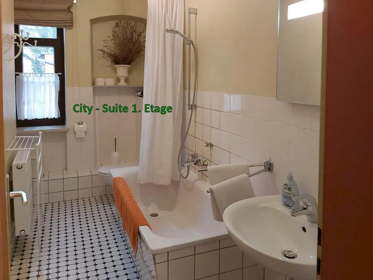 Shower in City-Ferienwohnungen-Dresden - zentral gelegen im Haus Louisenstrasse 11 - Dresden-Neustadt