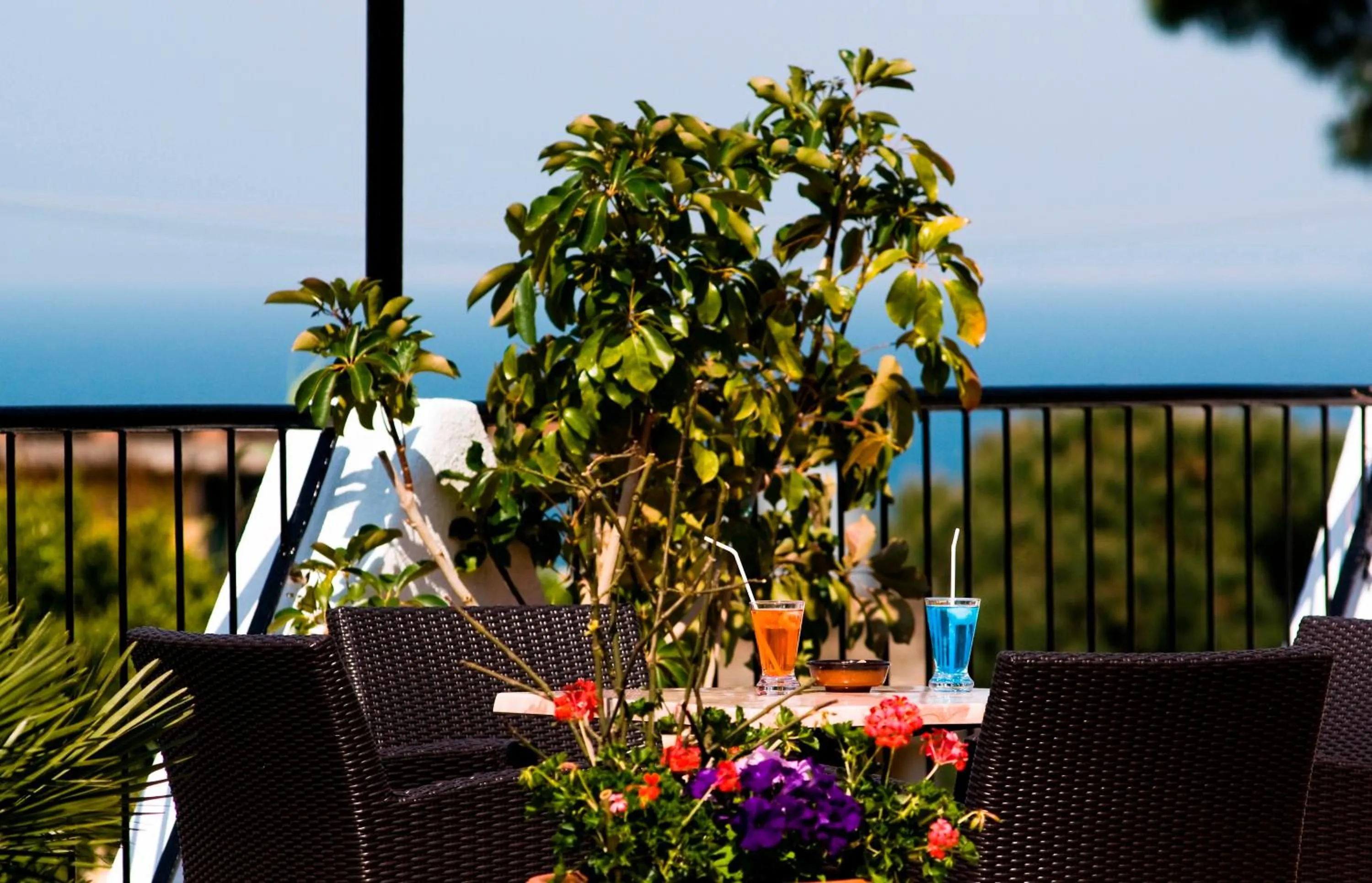Garden in Hotel Casa Di Meglio