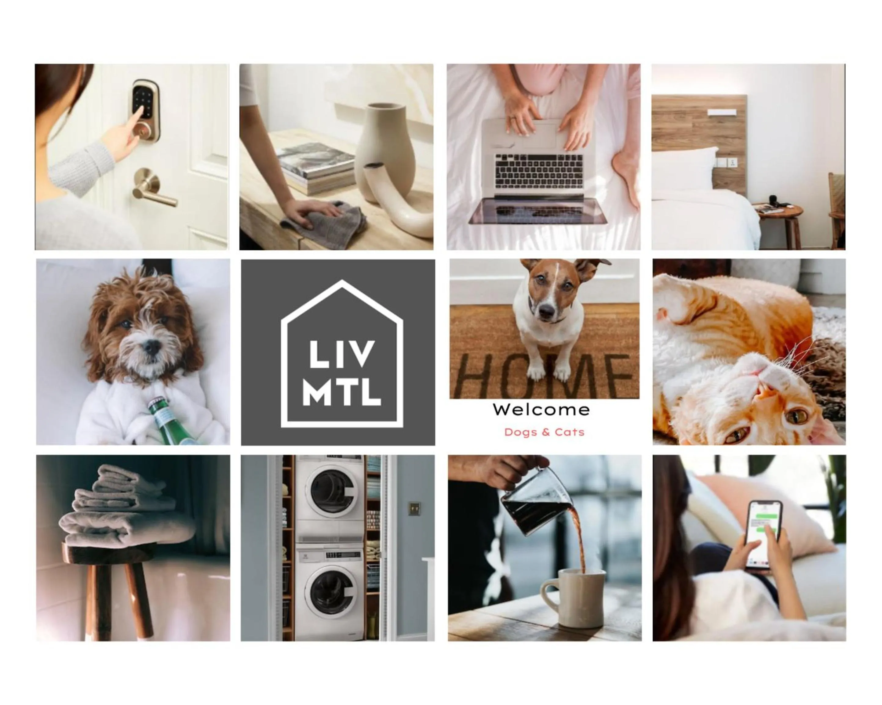 pet friendly in LiV MTL MTL
