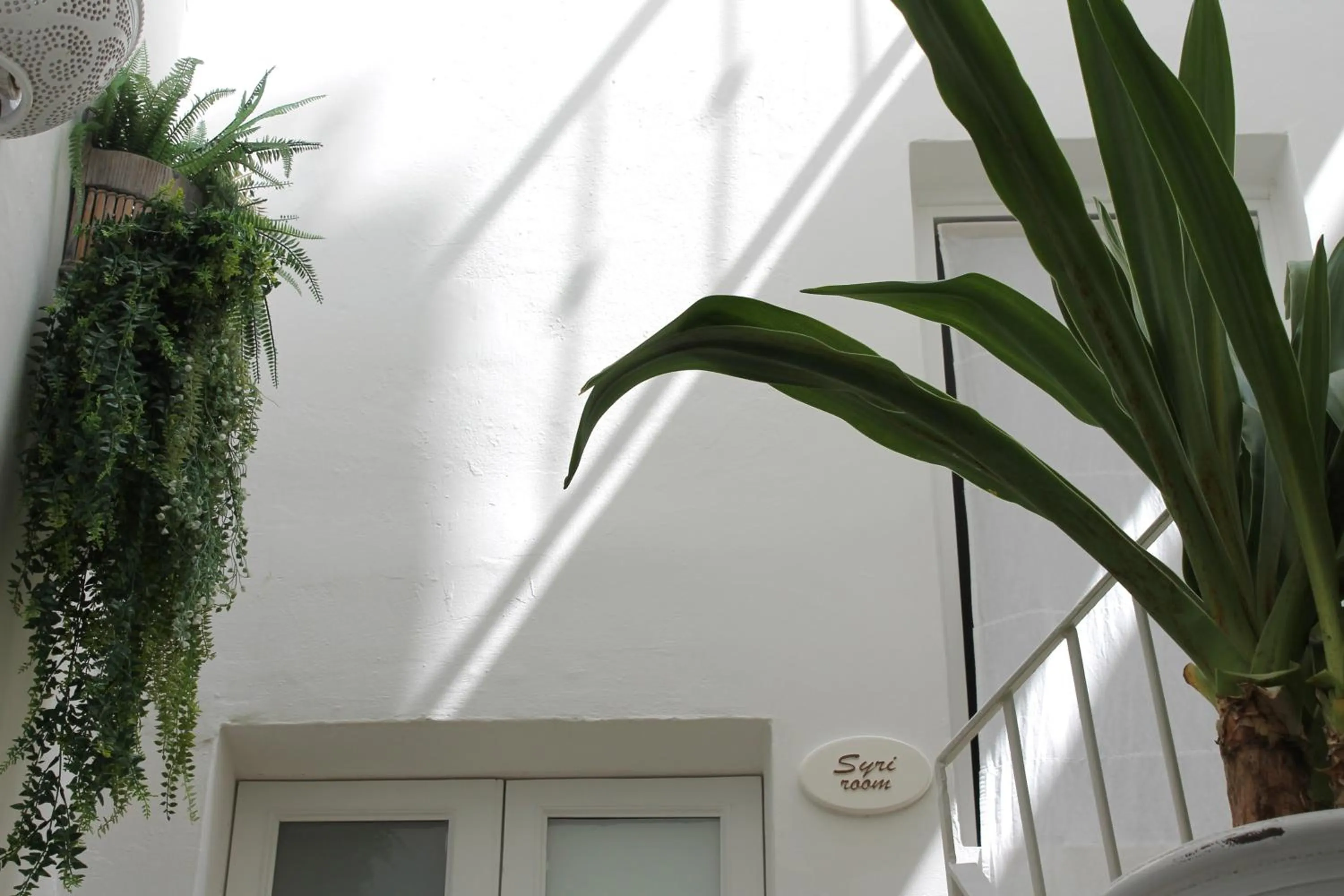 Palmieri Luxury Rooms