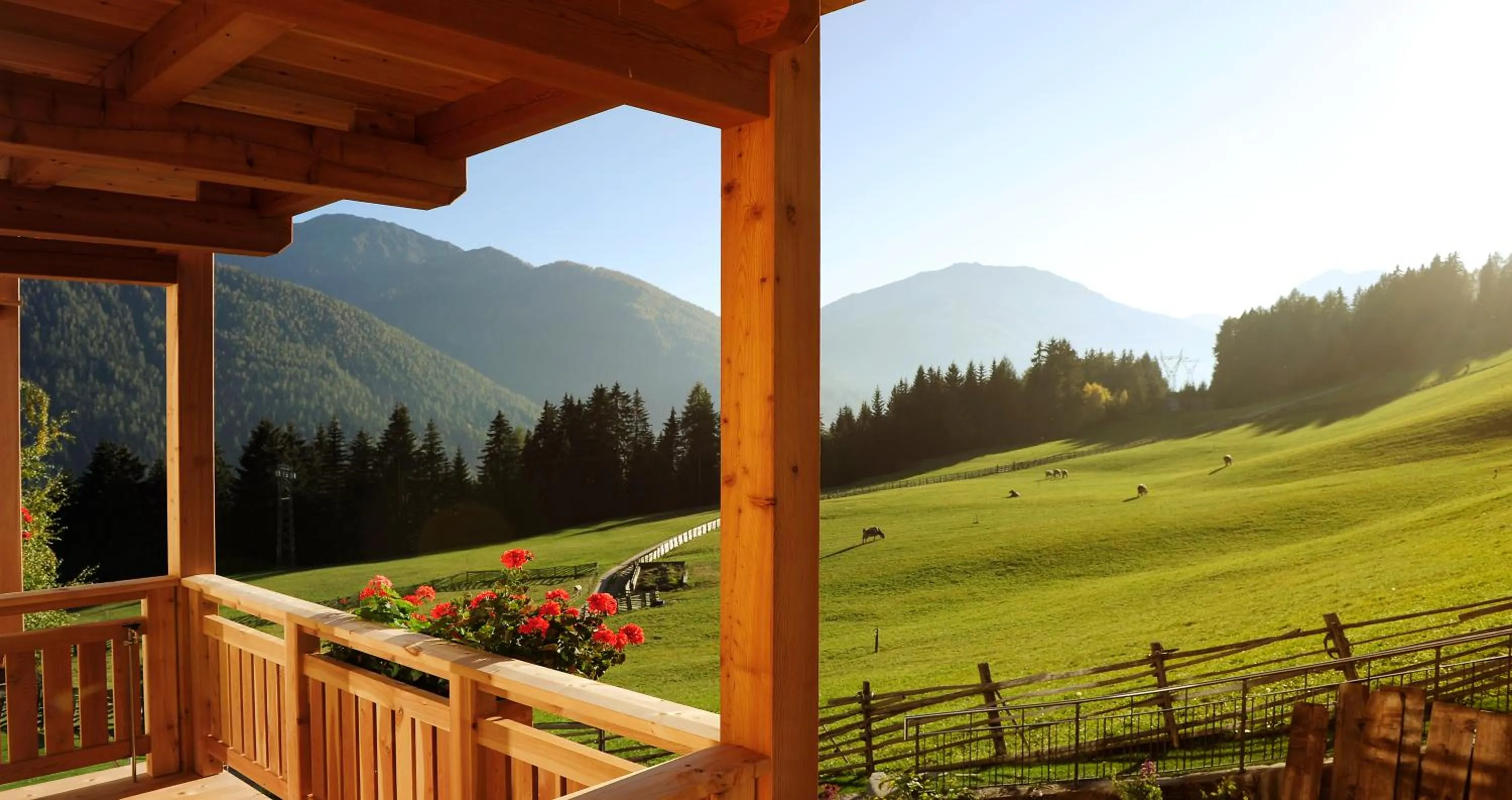 Balcony/Terrace in Hotel Naturoase Schwemmerhof