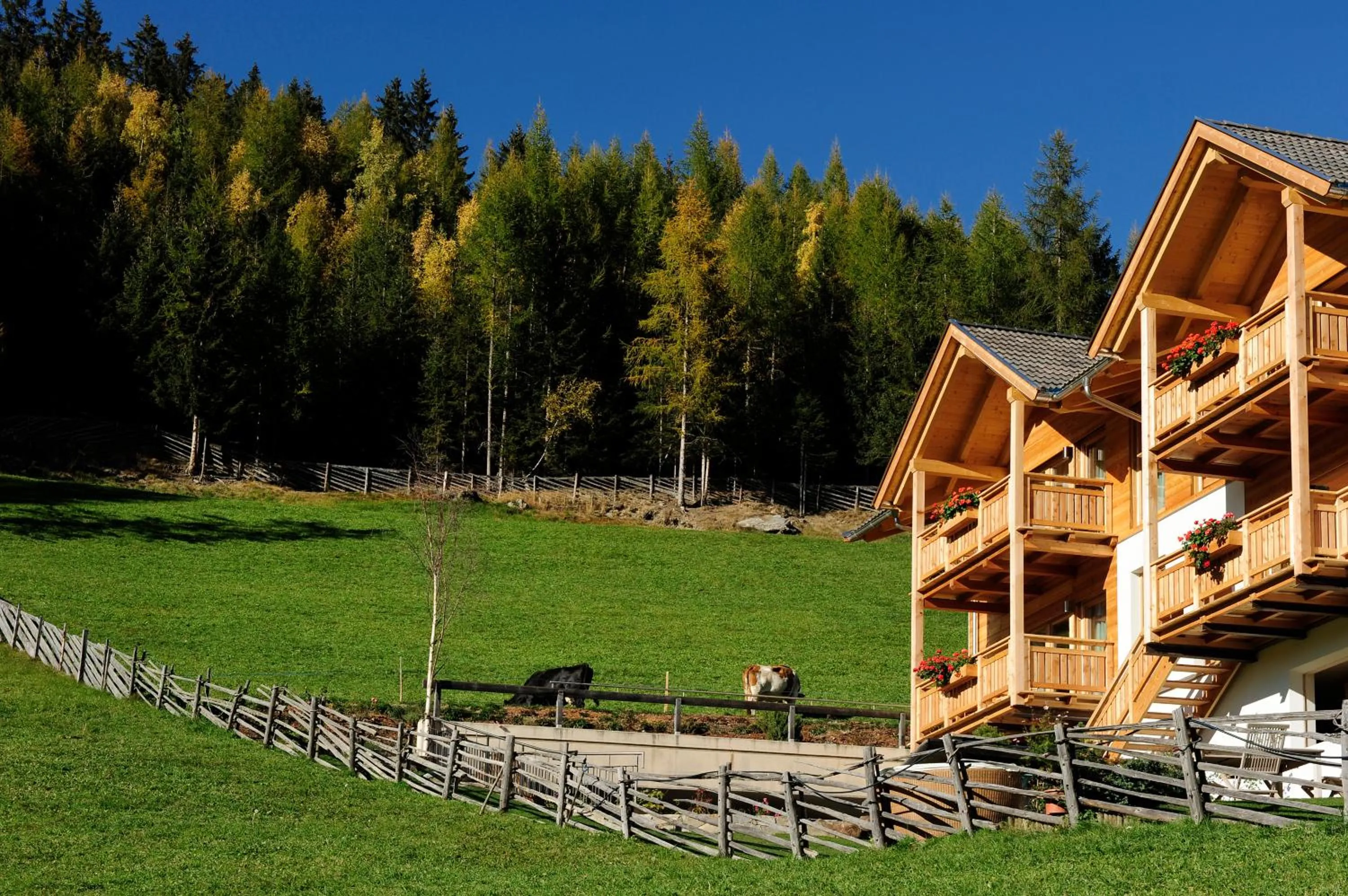 Property building in Hotel Naturoase Schwemmerhof