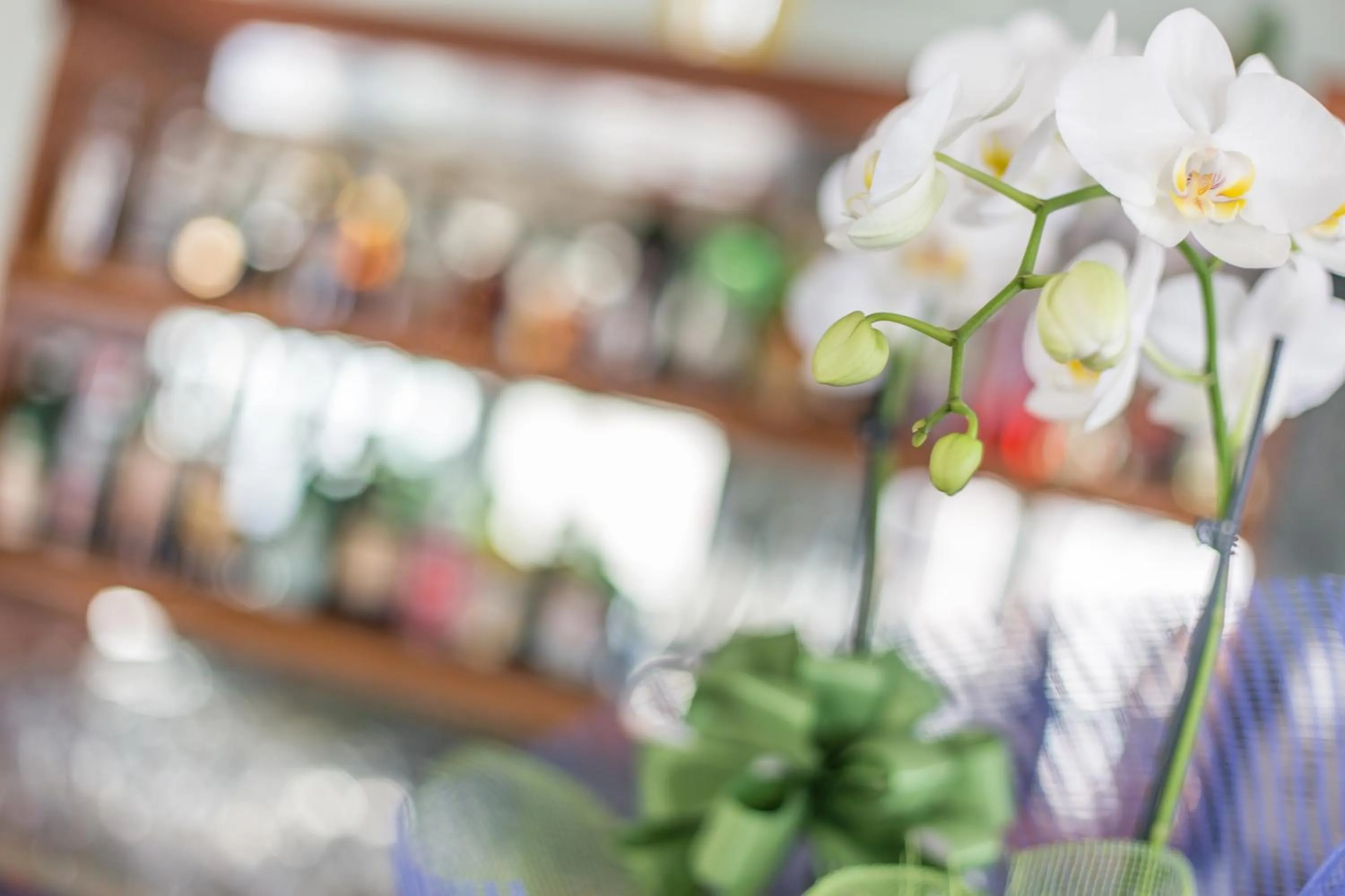 Decorative detail in Hotel Emilia