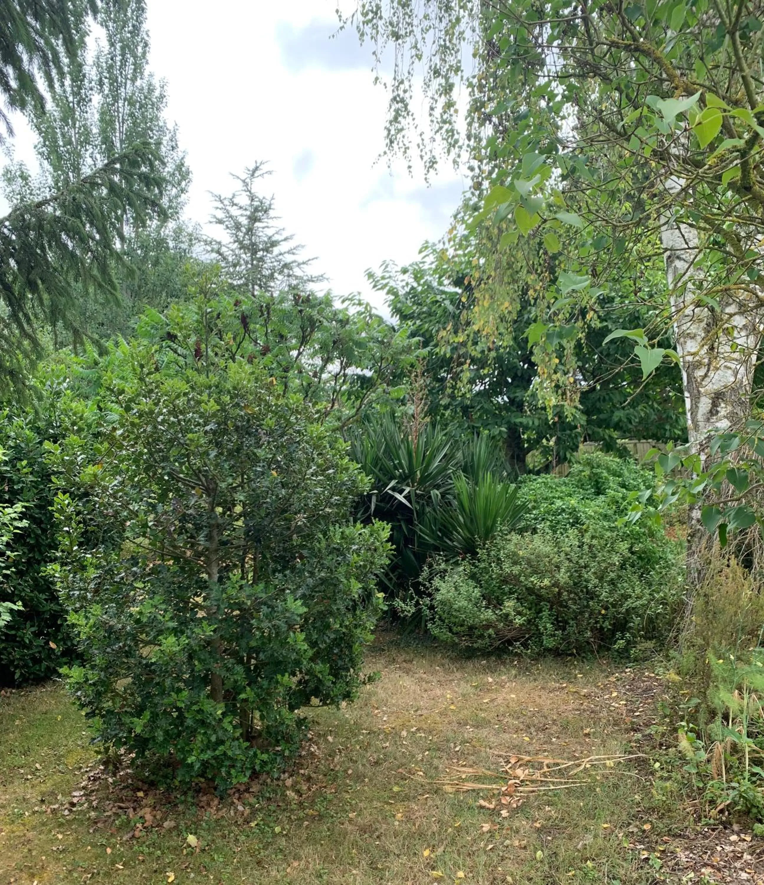 Natural landscape in Maison d'hôtes La Chabanaise - Marais Poitevin