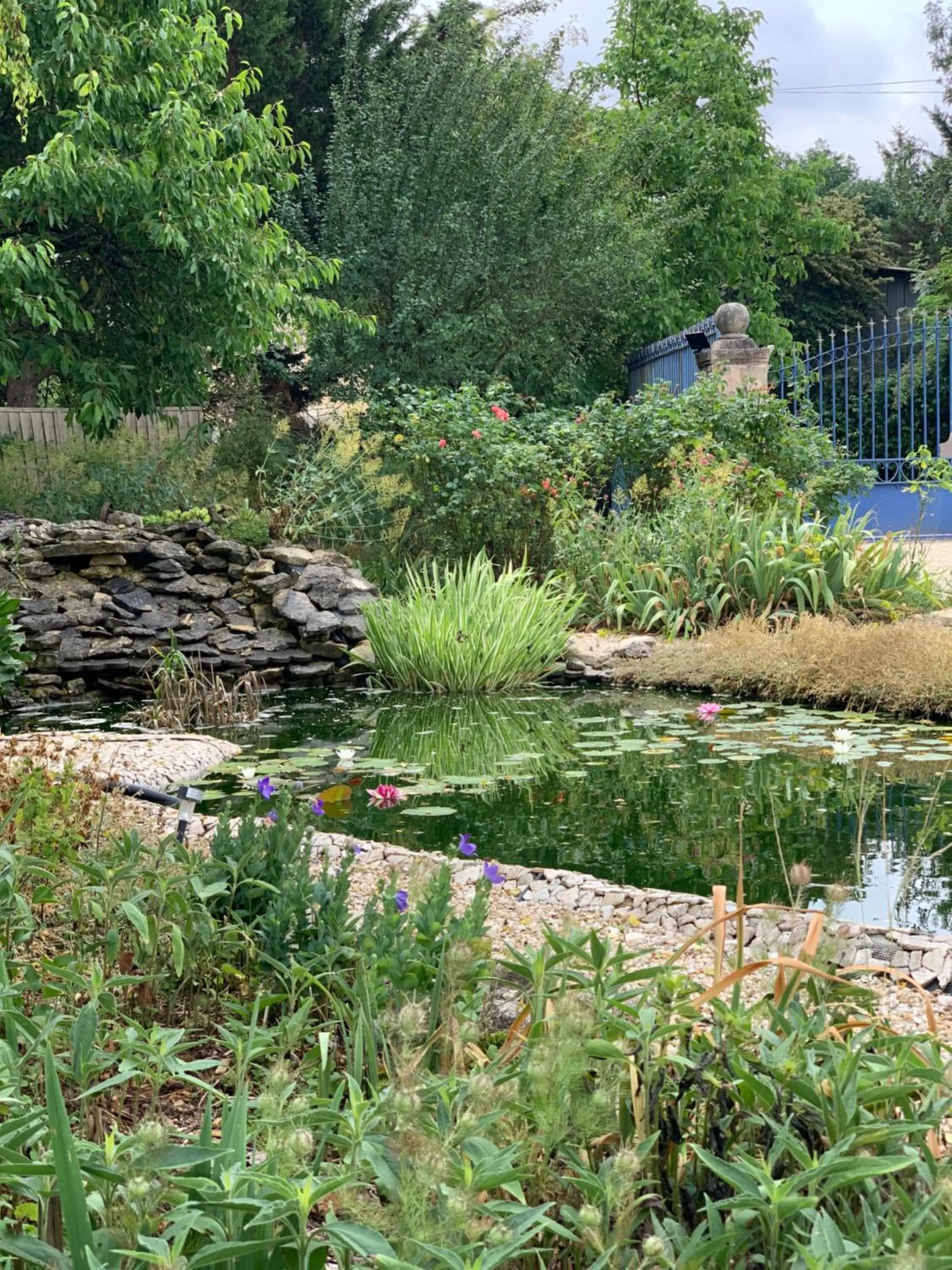 Garden in Maison d'hôtes La Chabanaise - Marais Poitevin