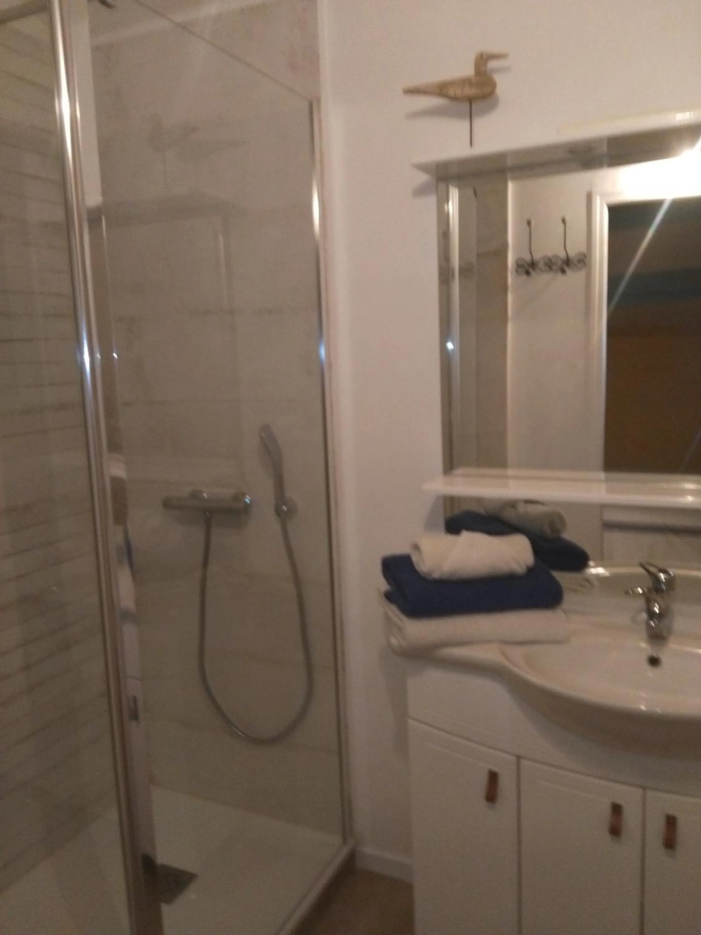 Bathroom in Maison d'hôtes La Chabanaise - Marais Poitevin