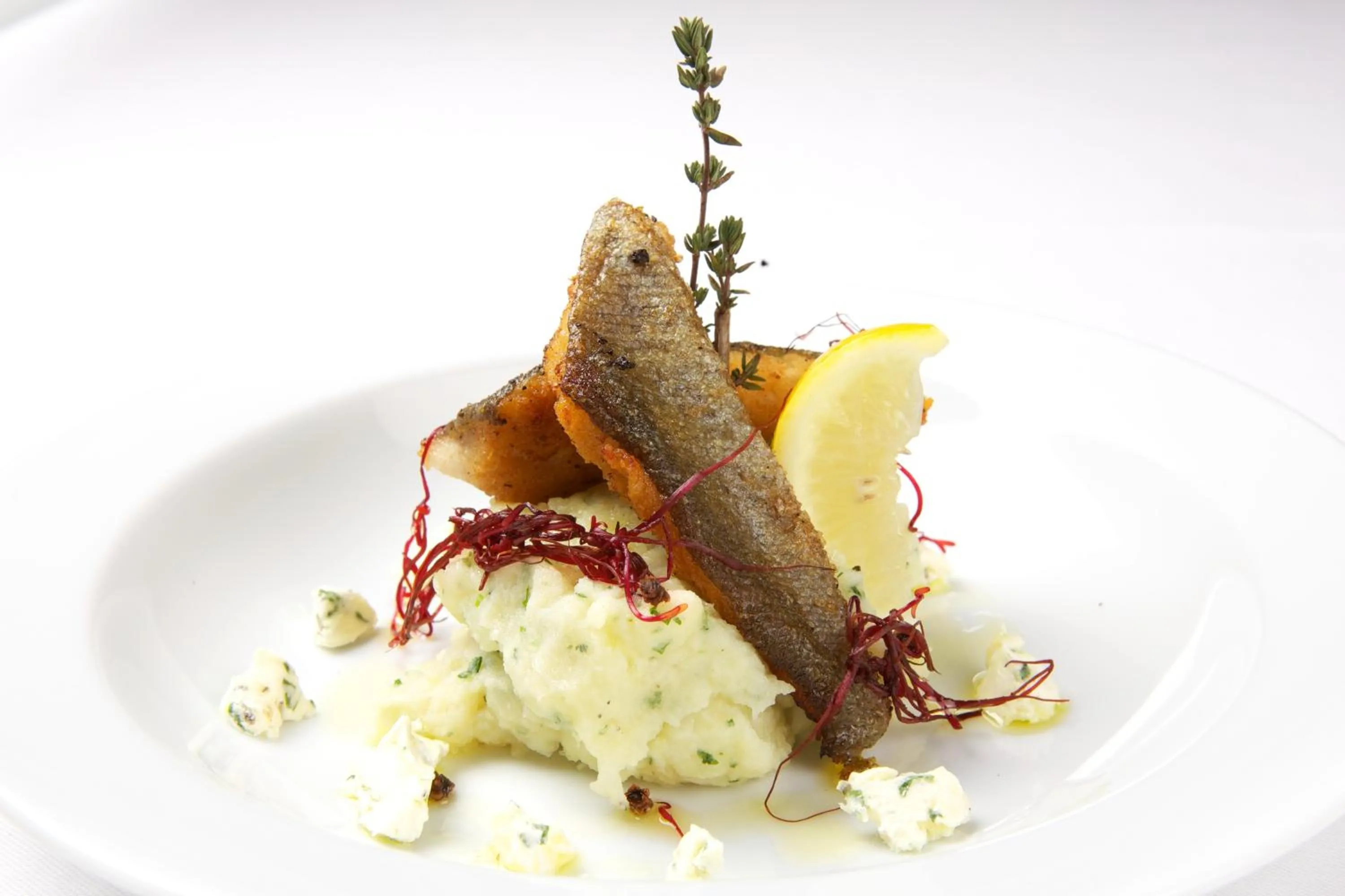 Food and drinks in Hotel Floret