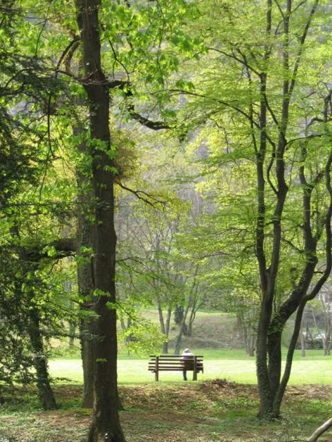 Garden in Apparthôtel Tempologis - Chateau de la Rochette