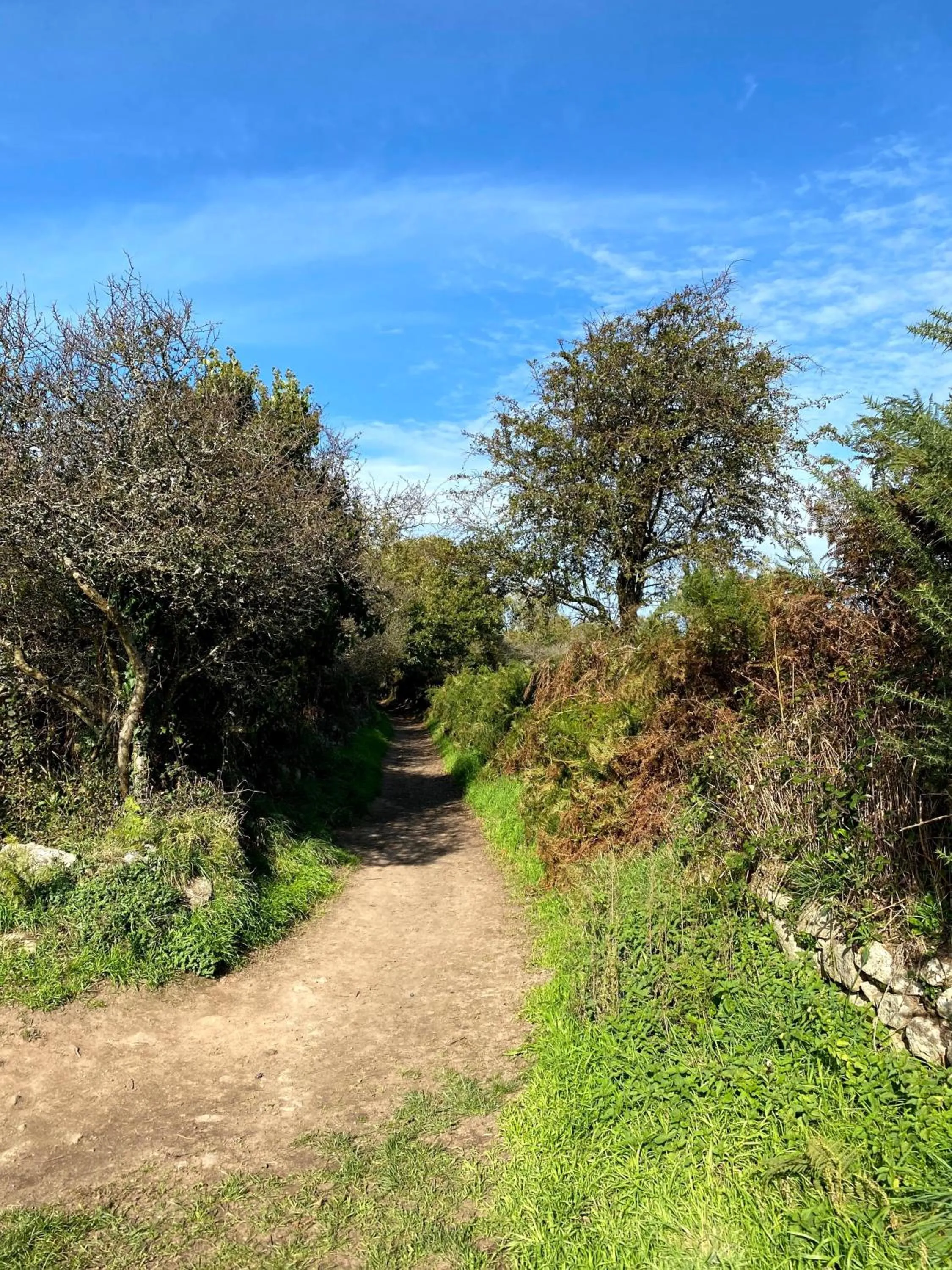Nearby landmark in Hôtel La Maison des Dunes