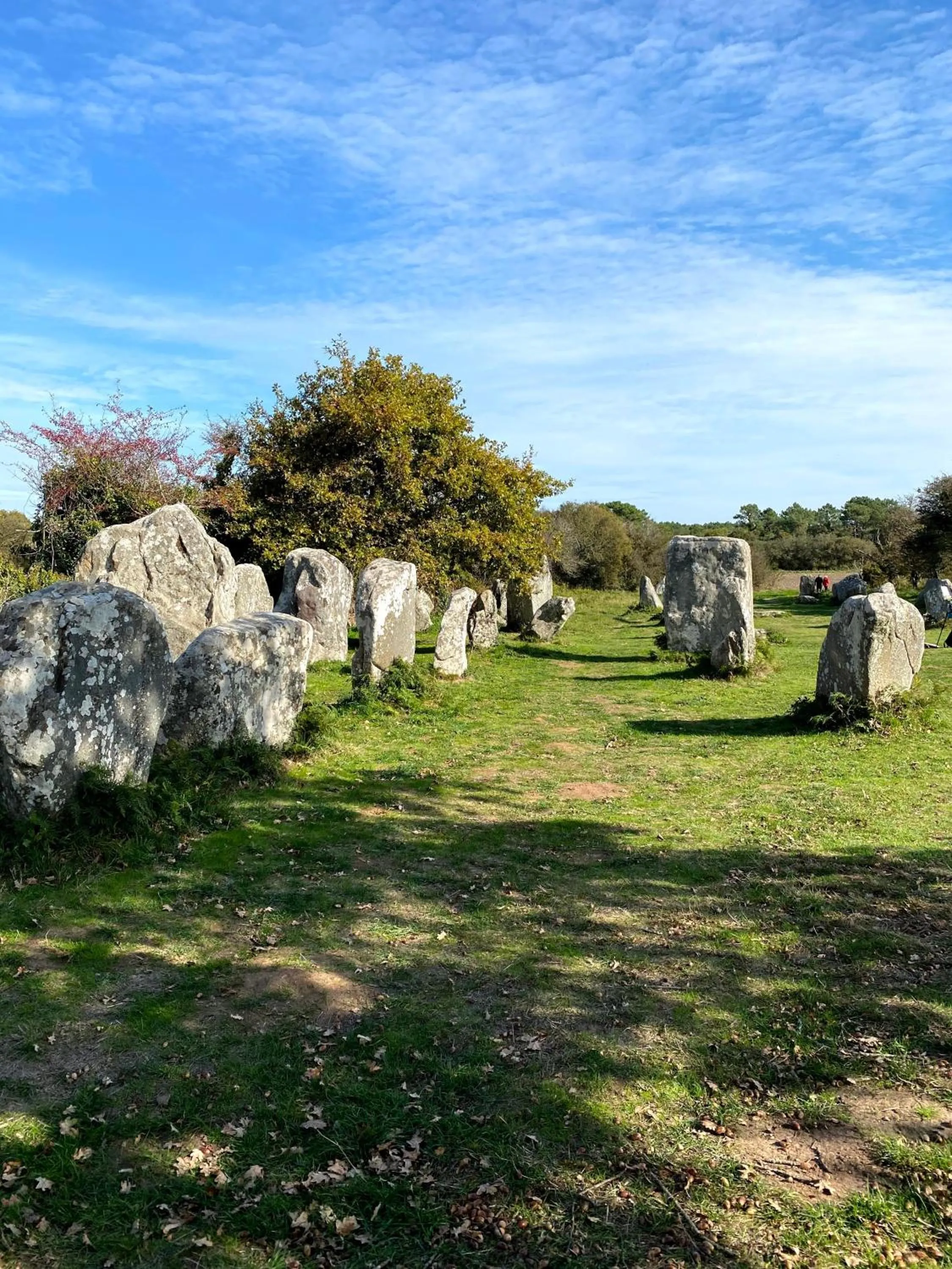 Nearby landmark in Hôtel La Maison des Dunes