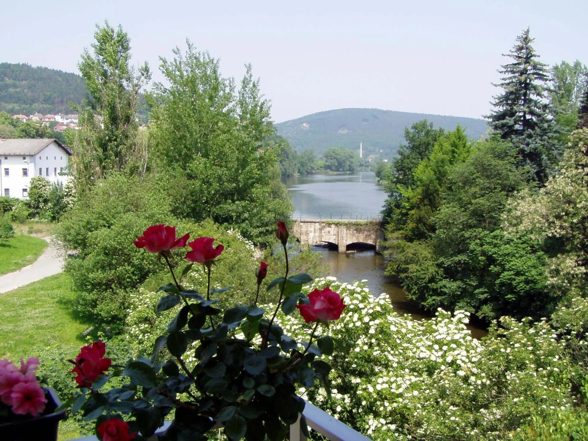 Balcony/Terrace in Family hotel Maxim