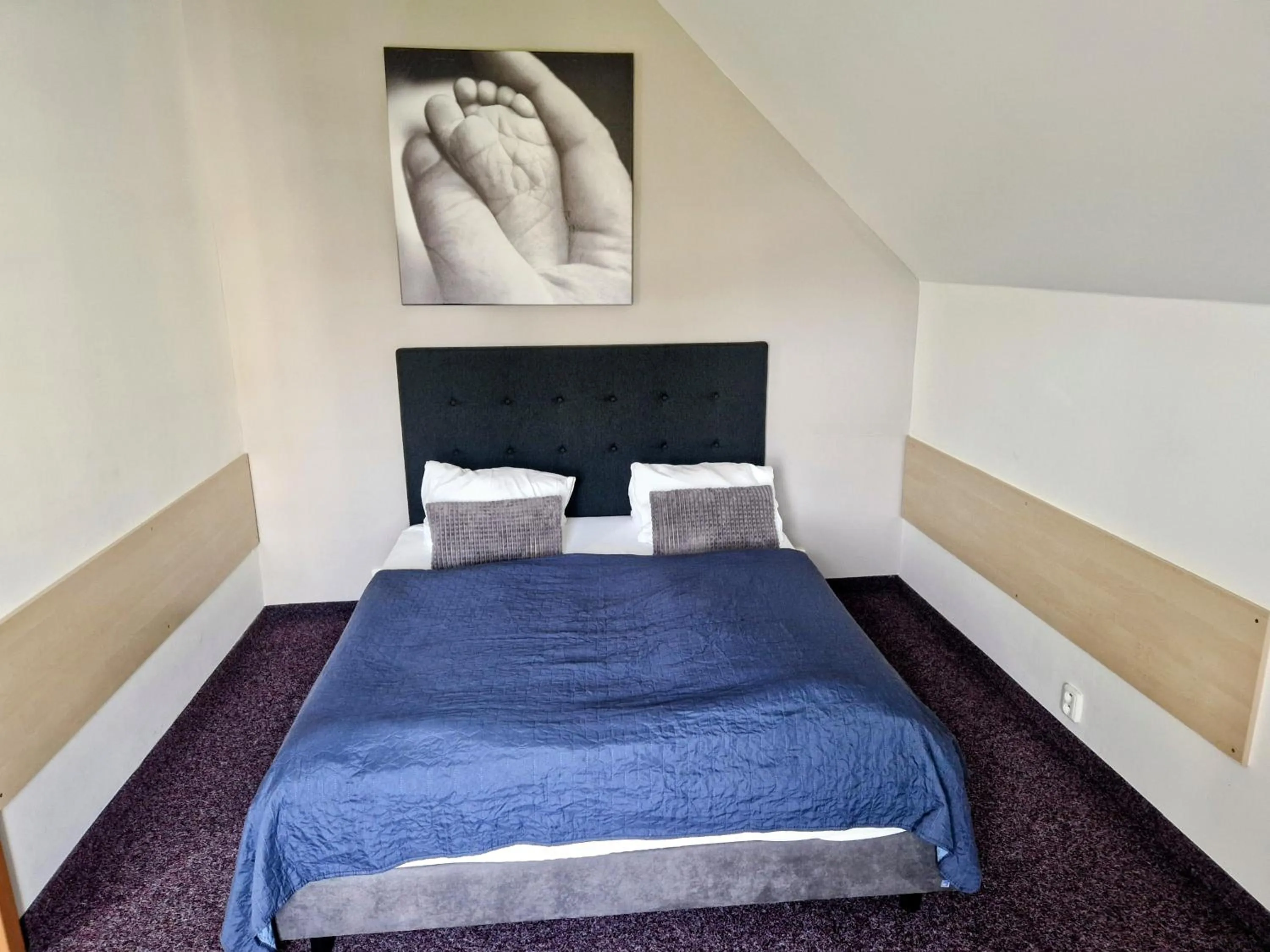 Bed in Family hotel Maxim