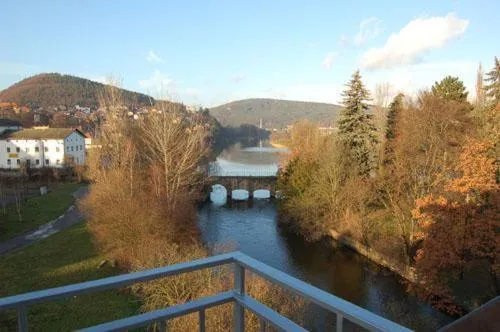 Balcony/Terrace in Family hotel Maxim