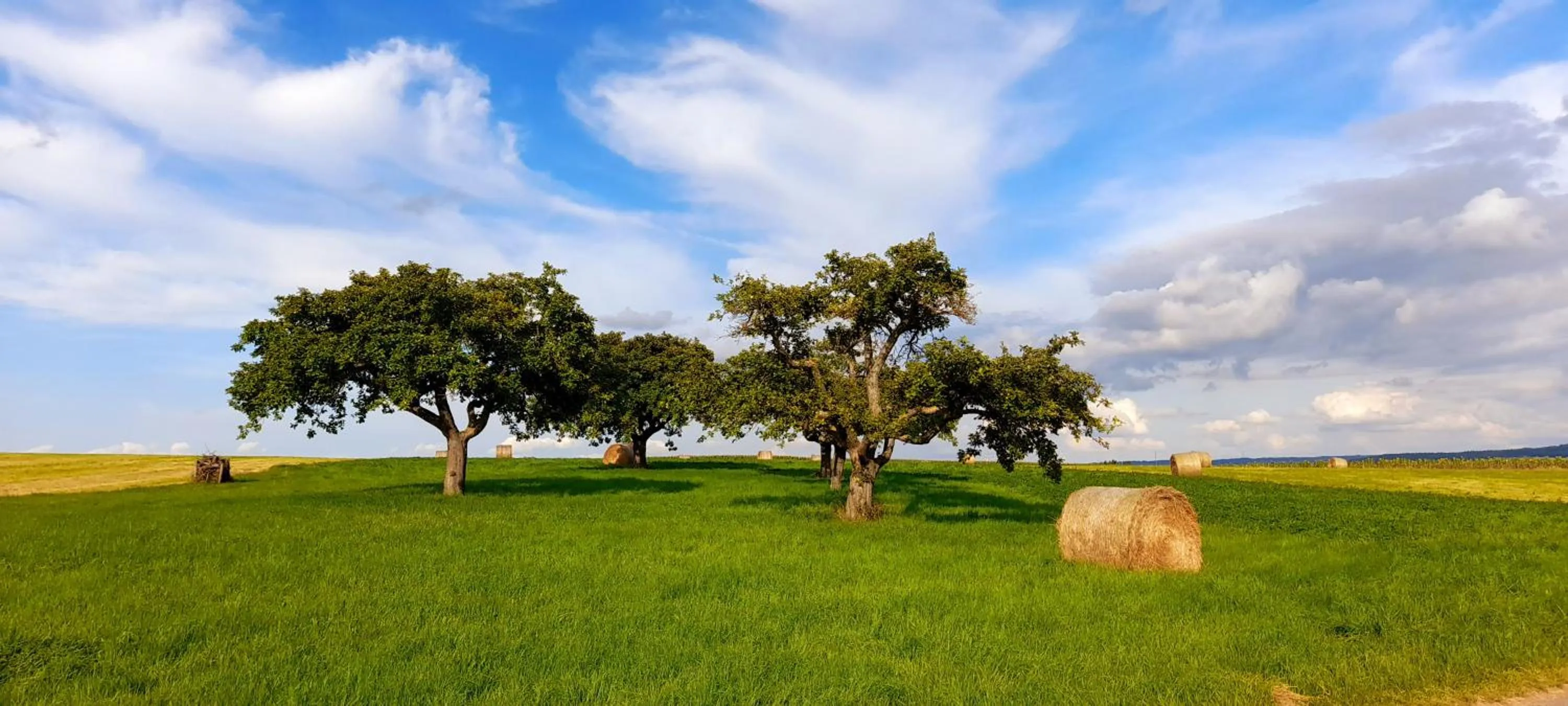 Moselblick Hotel Aroma