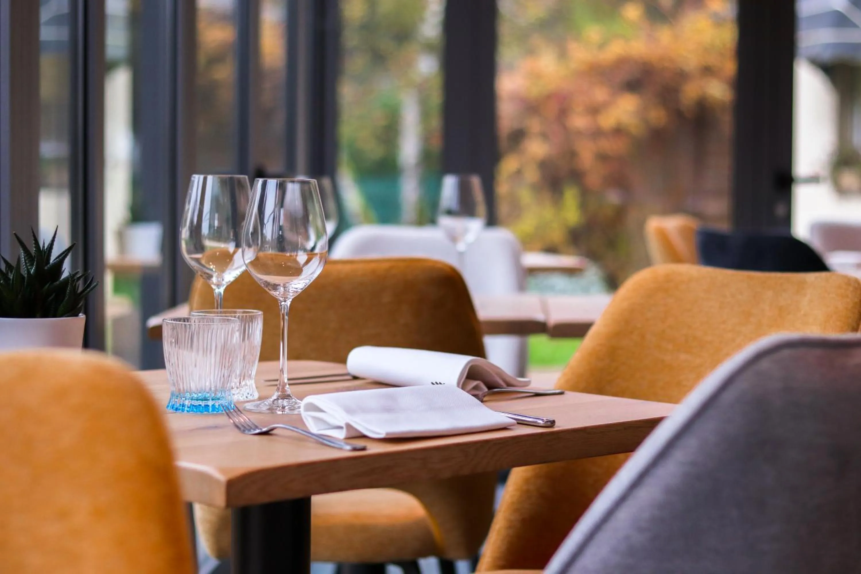 Restaurant/places to eat in Le Dracy Hôtel et Spa