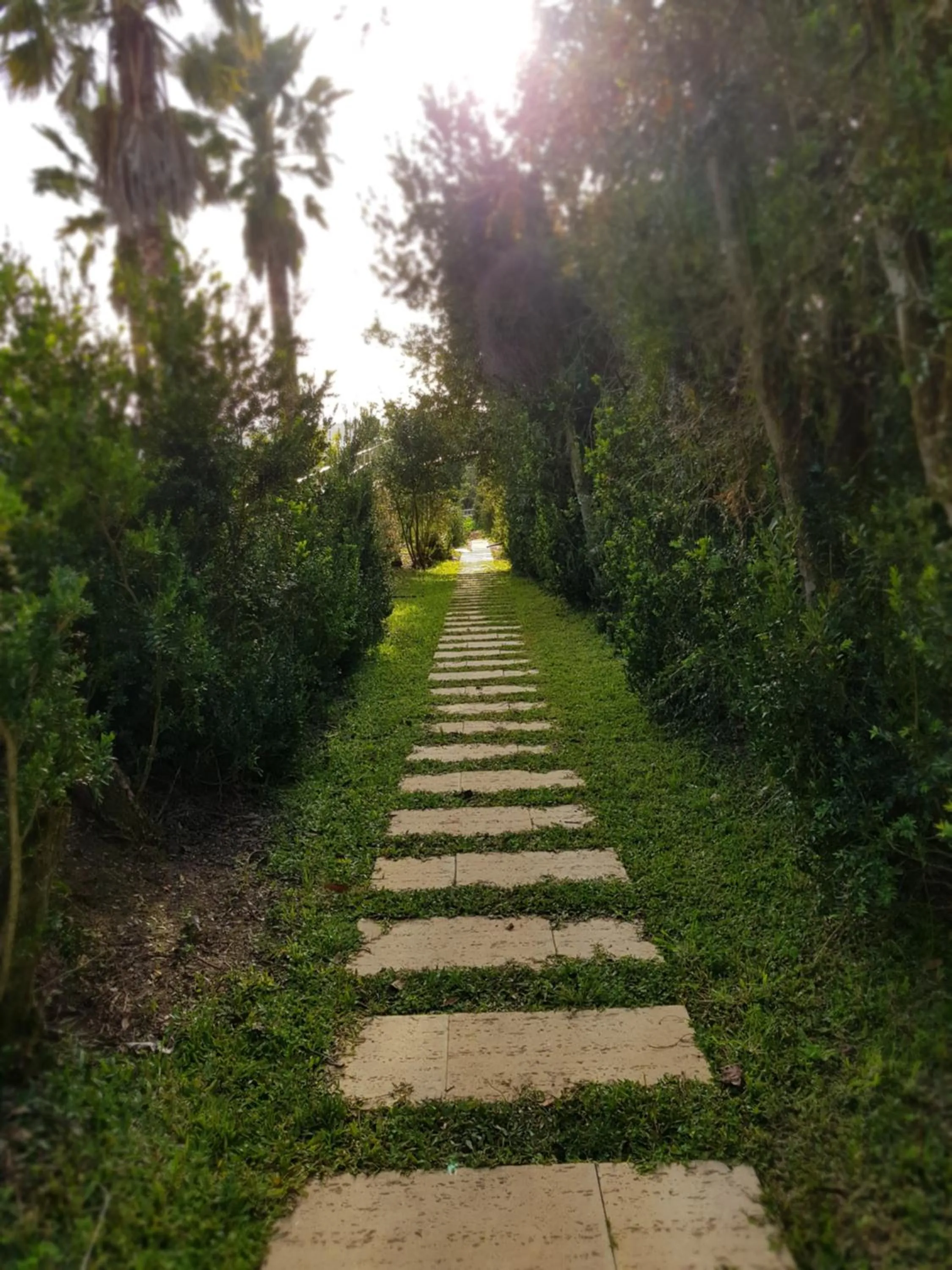 Property building in Palacio São Silvestre-Boutique Hotel