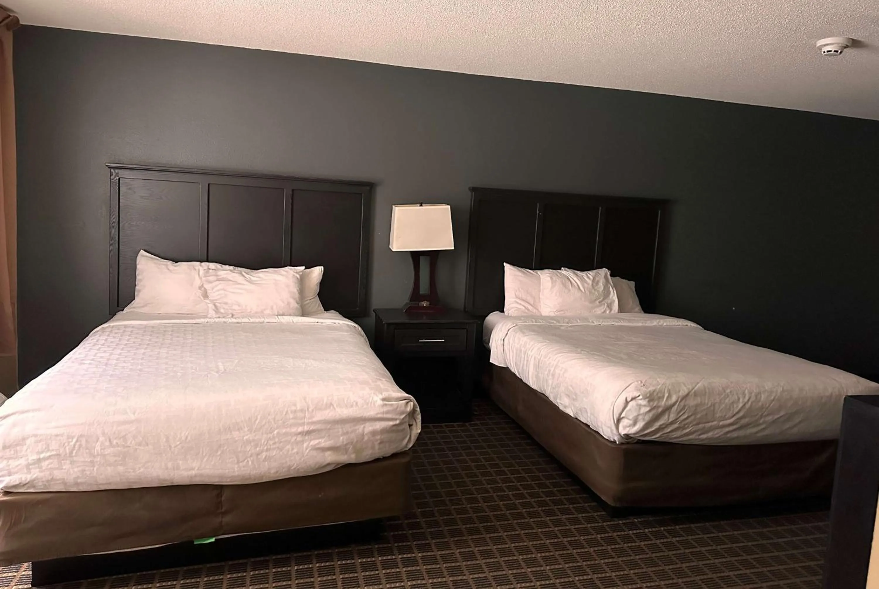 Photo of the whole room, Bed in Clarion Inn & Suites