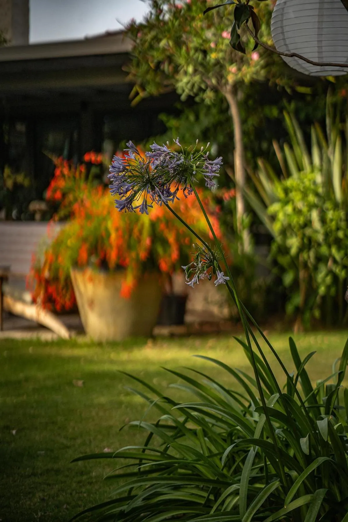 Day in Casa Luna Hotel - Adult Only
