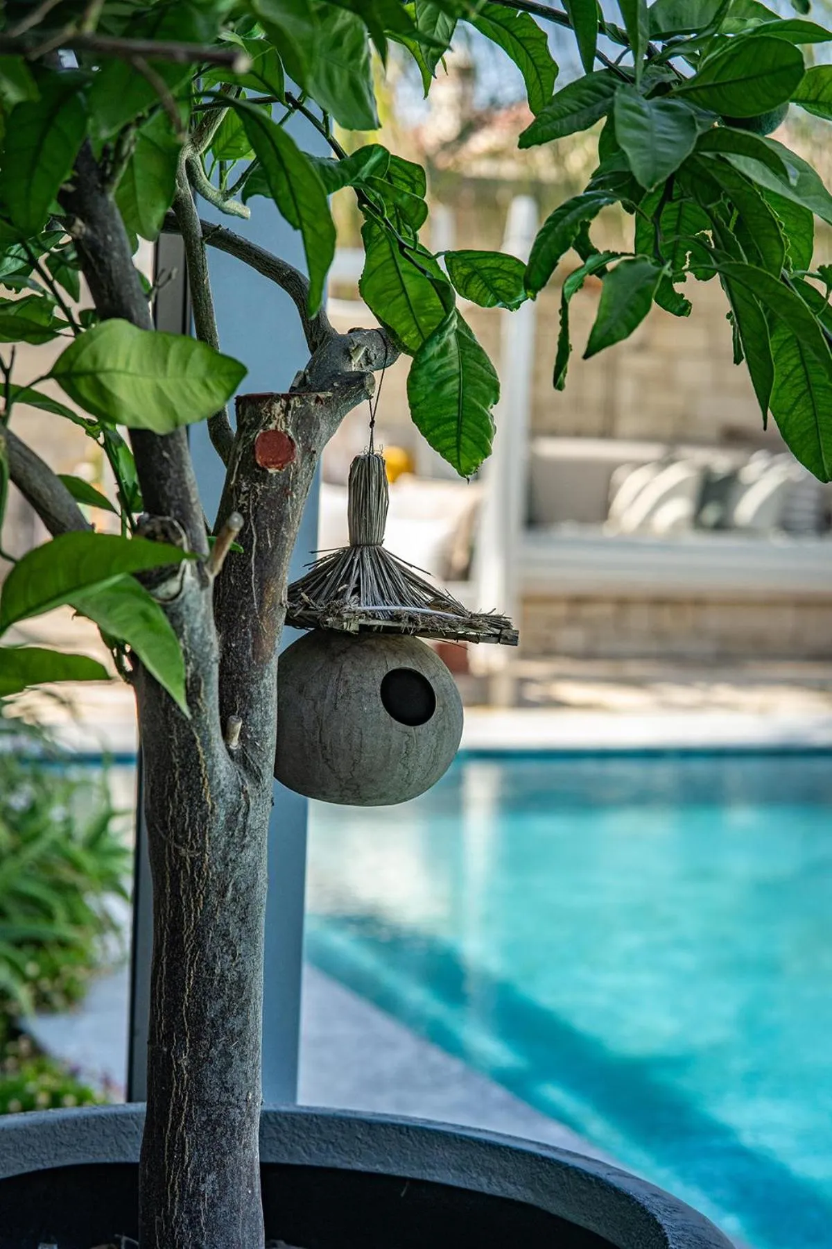 Casa Luna Hotel - Adult Only