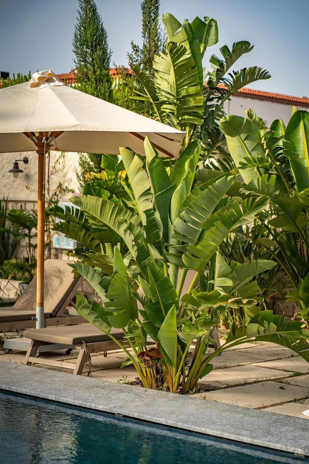 Patio in Casa Luna Hotel - Adult Only