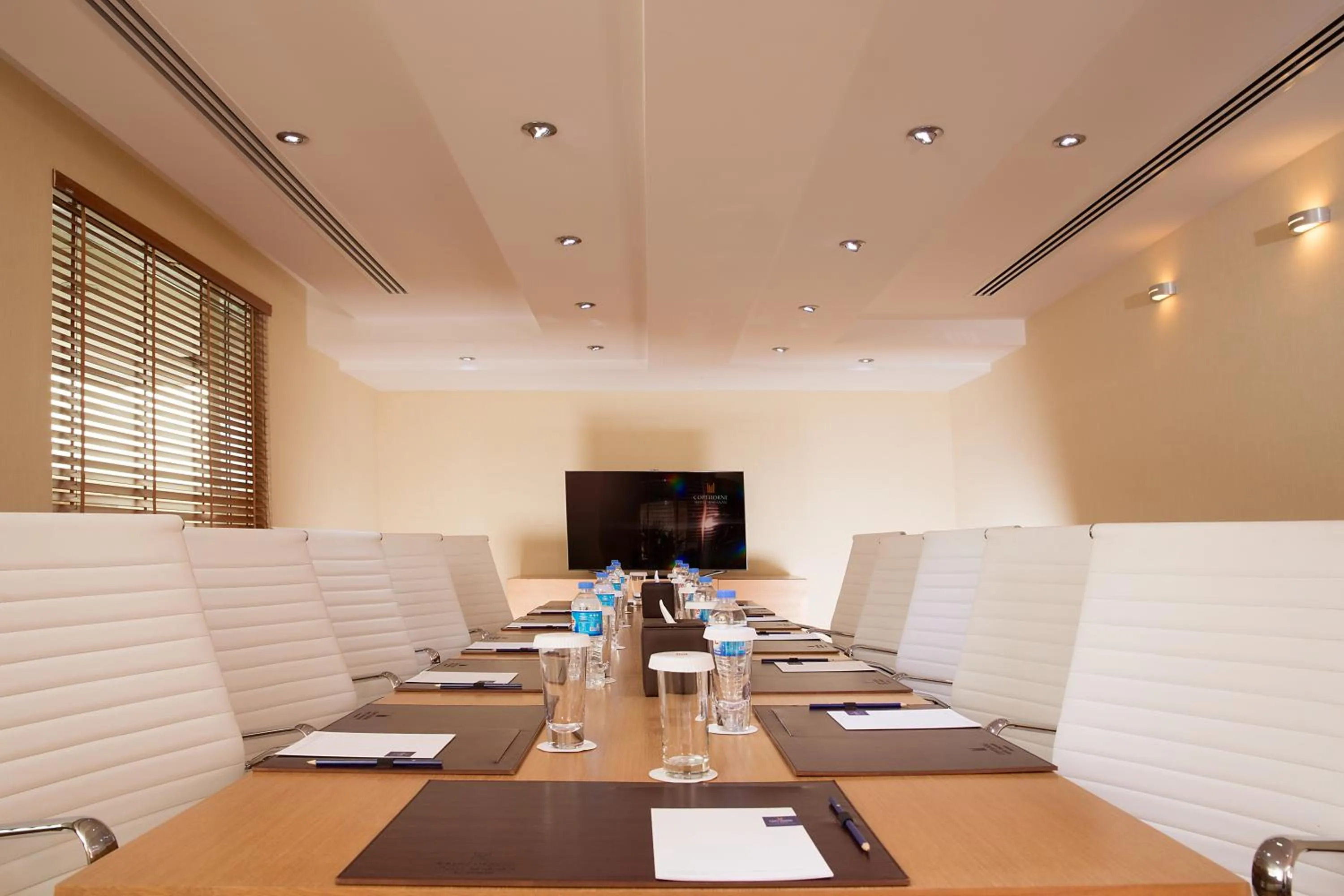 Business facilities in Copthorne Hotel Baranan