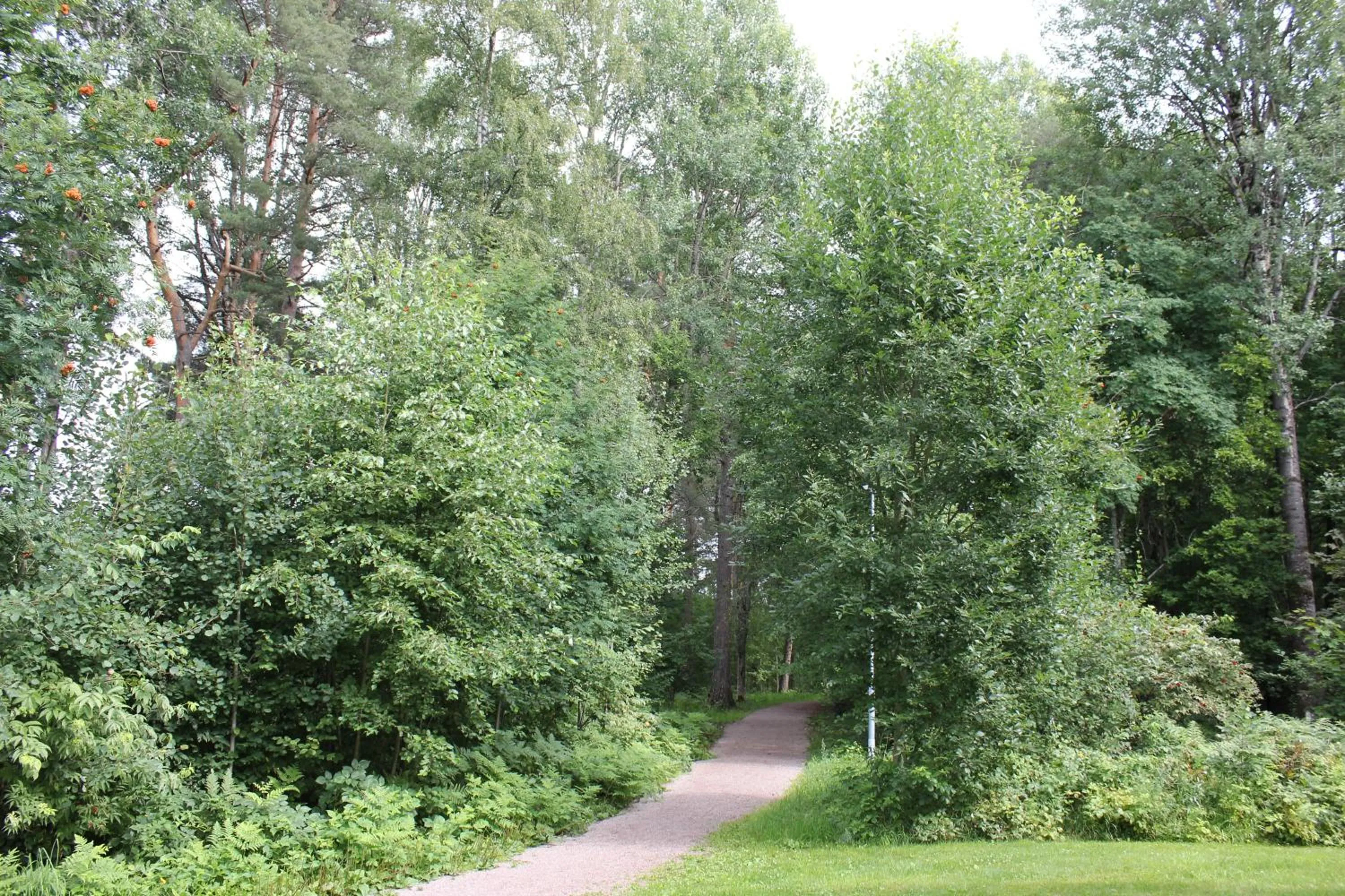 Natural landscape in Leksands Folkhögskola