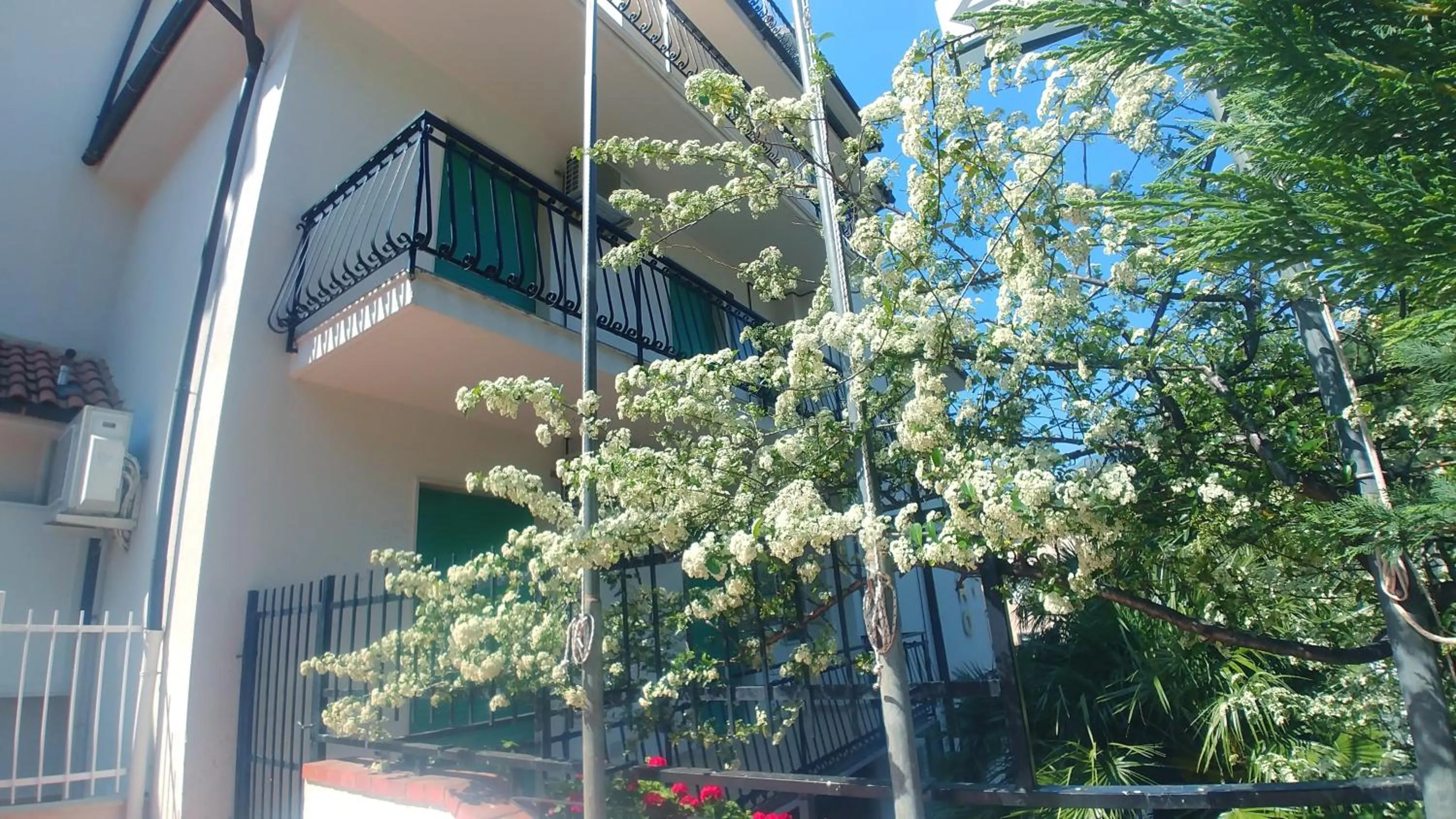Balcony/Terrace in Residence Oleandro