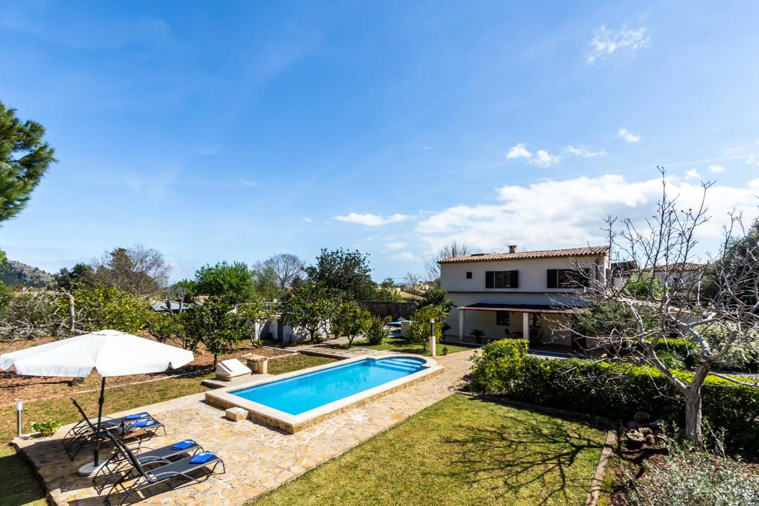 Swimming pool in Villa La Palmera By homevillas360