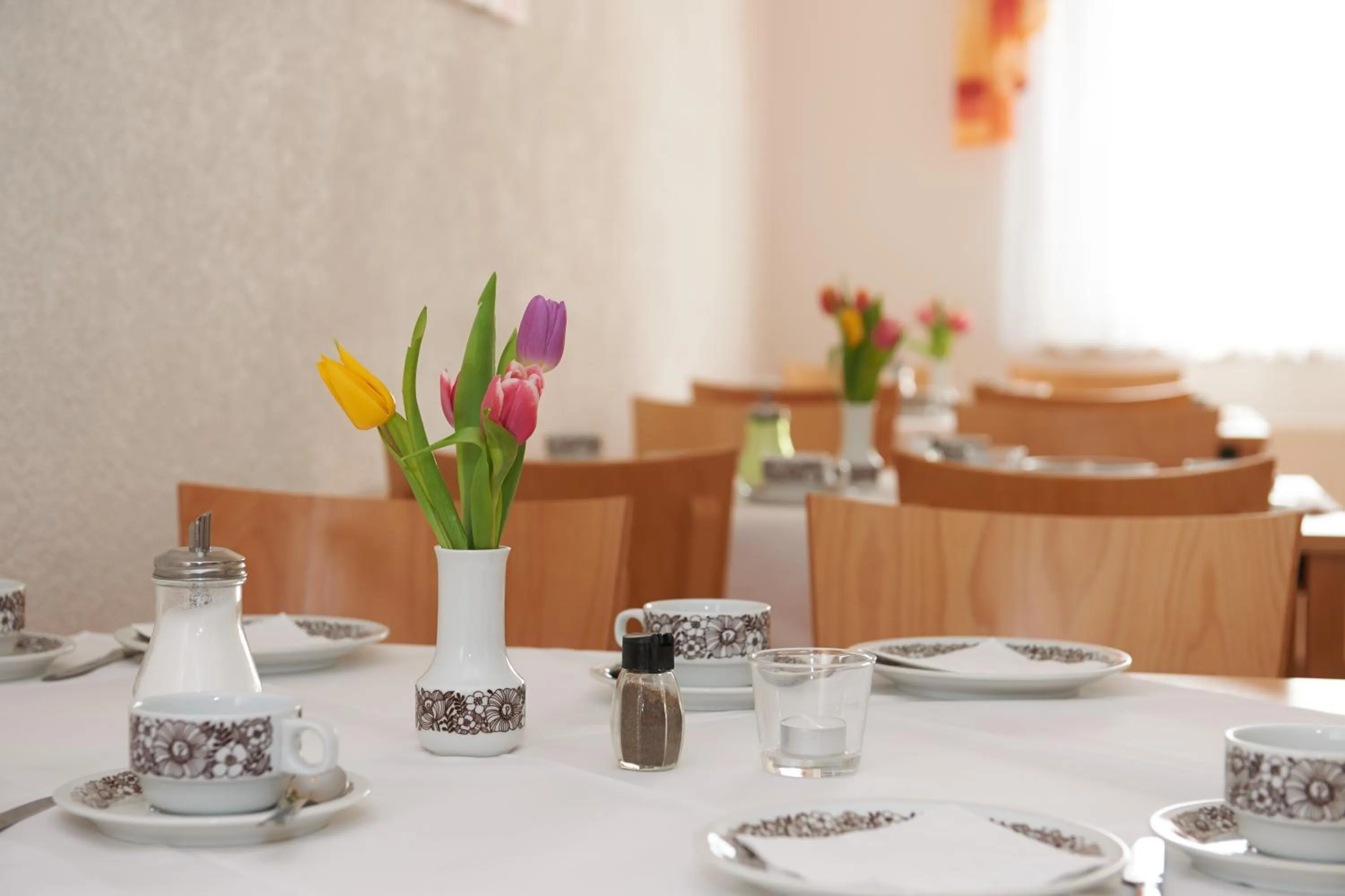 Restaurant/places to eat in Alpha Apparthotel leipzig-Rötha