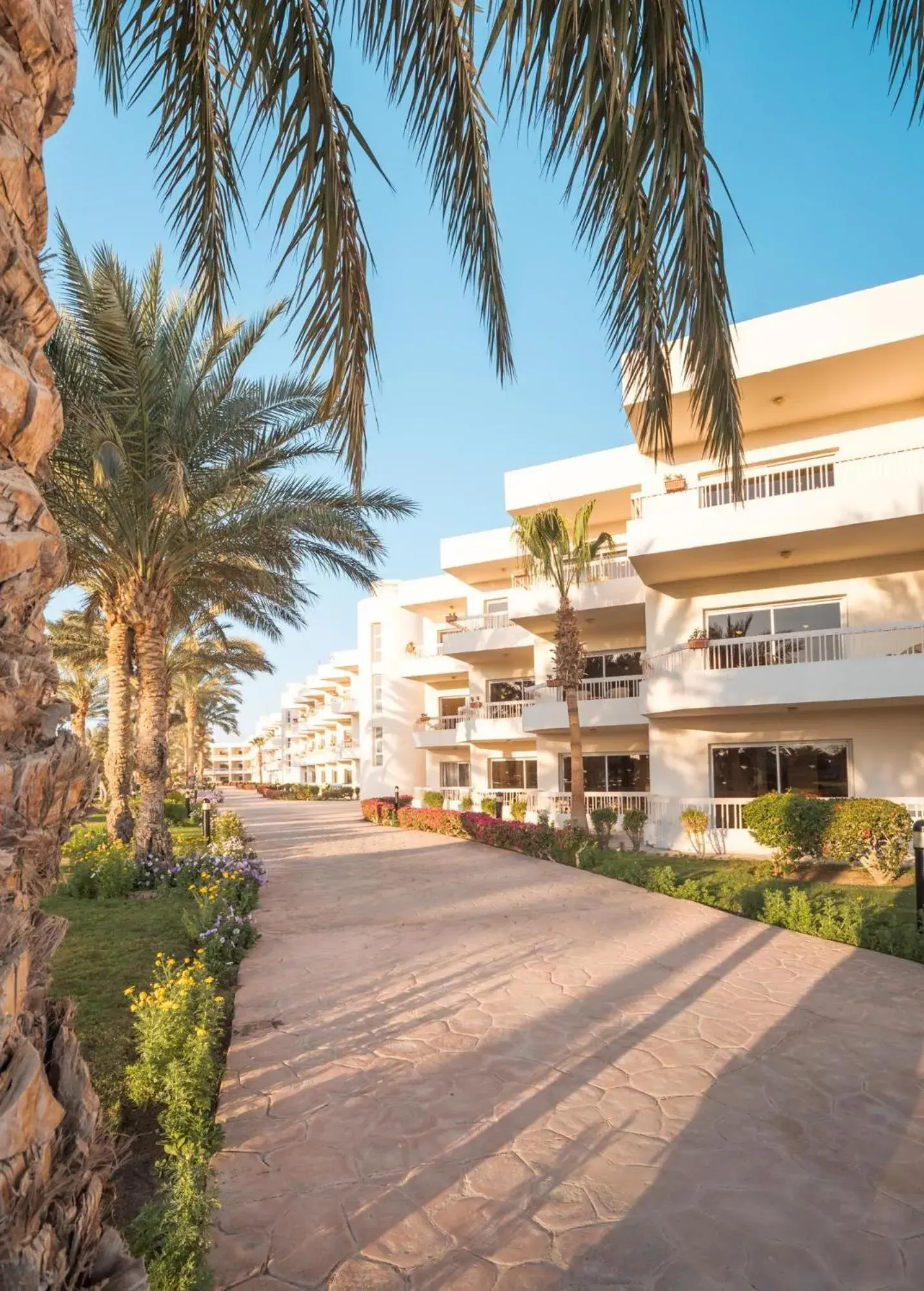 Property building in Hurghada Long Beach Resort Property building in Hurghada Long Beach Resort