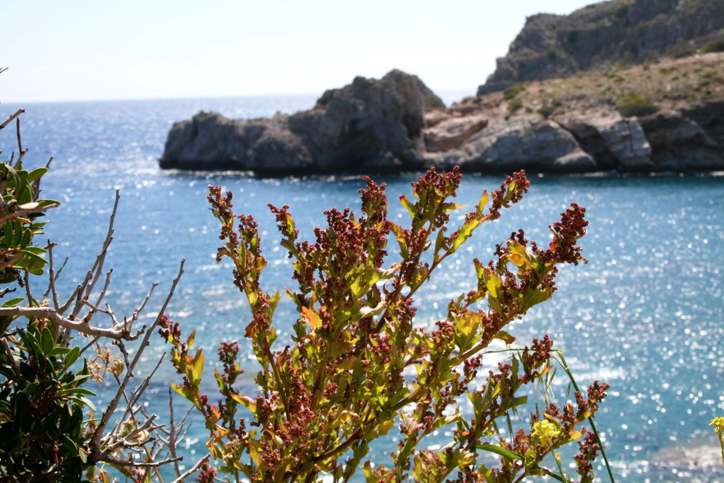 Natural landscape in Agios Pavlos Hotel