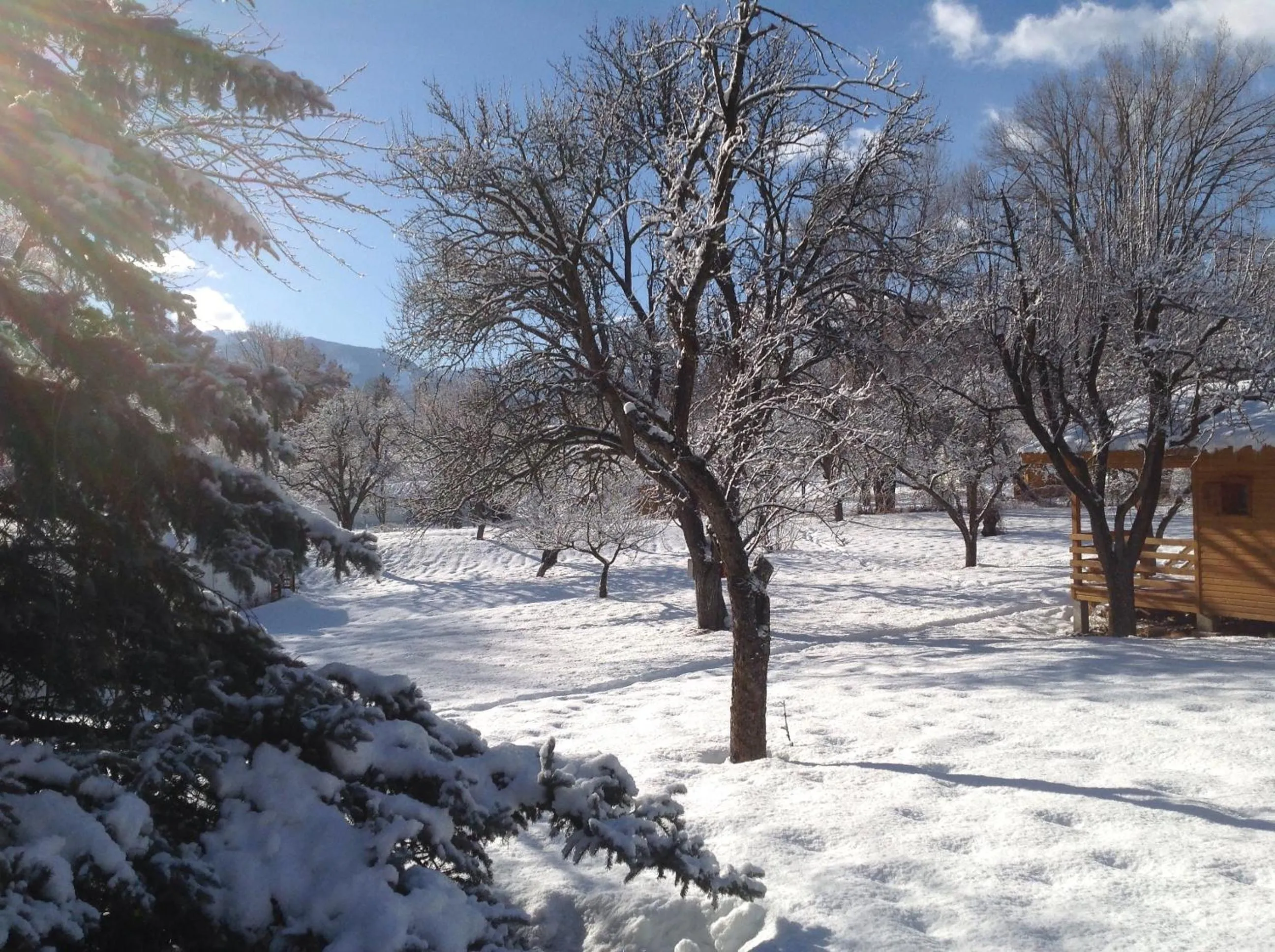 Patio in Camping, Hôtel De Plein Air Les Cariamas