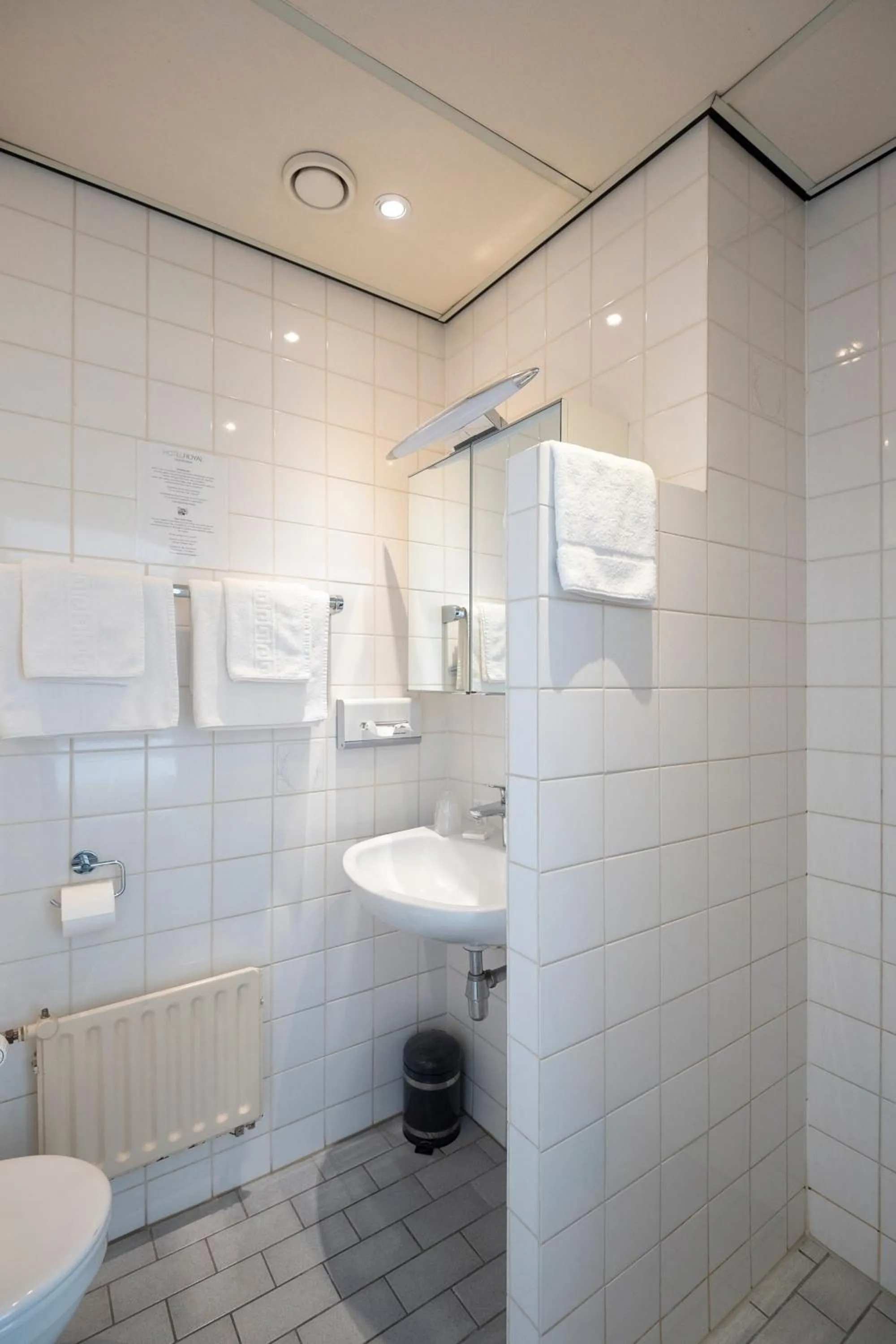 Shower in Hotel Royal