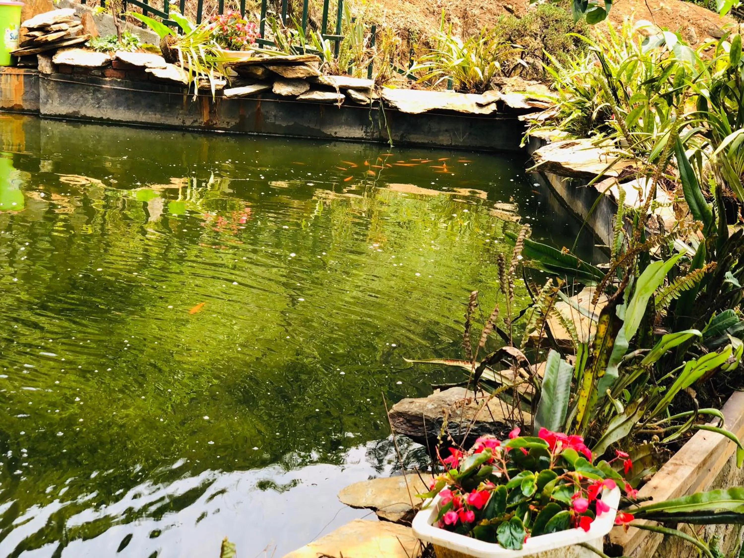 Natural landscape in Youth Homestay Sapa