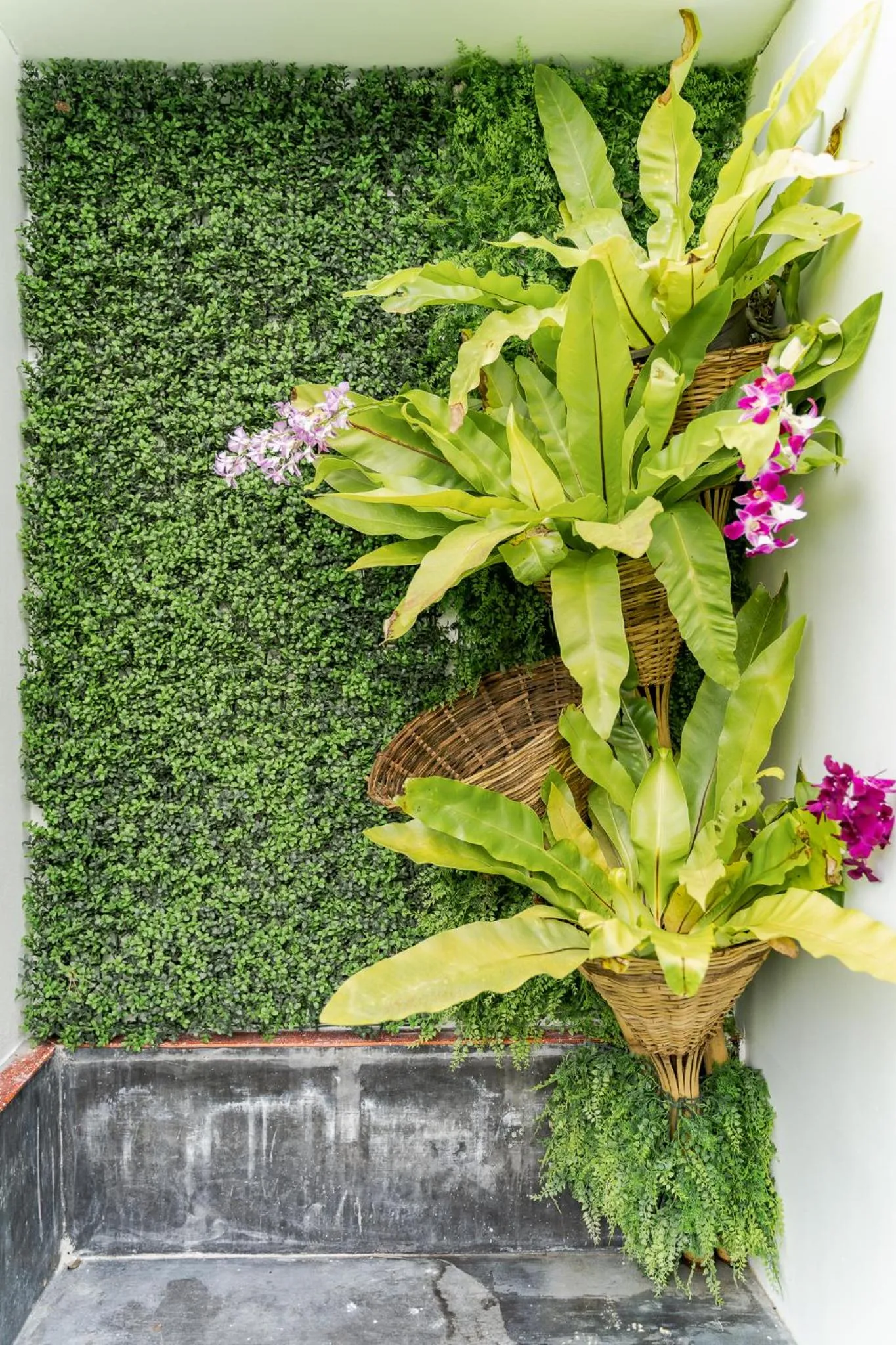 Garden in The Loft Panwa Resort