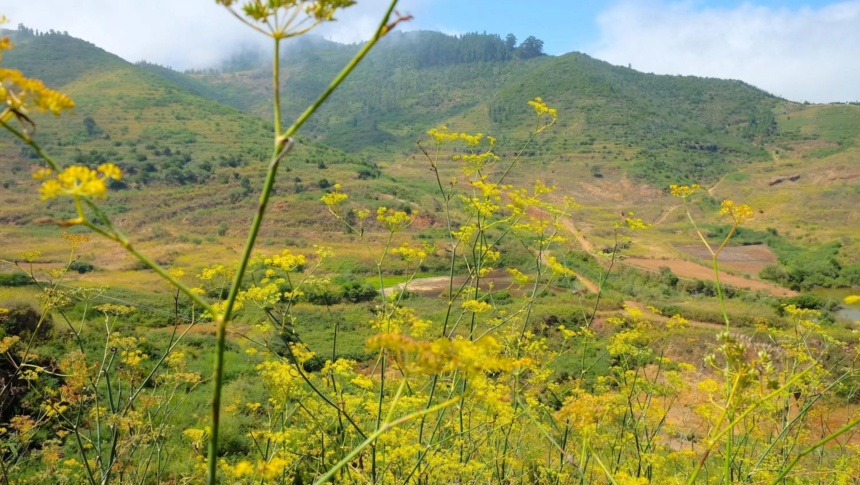 Other in Hotel Rural Finca La Hacienda