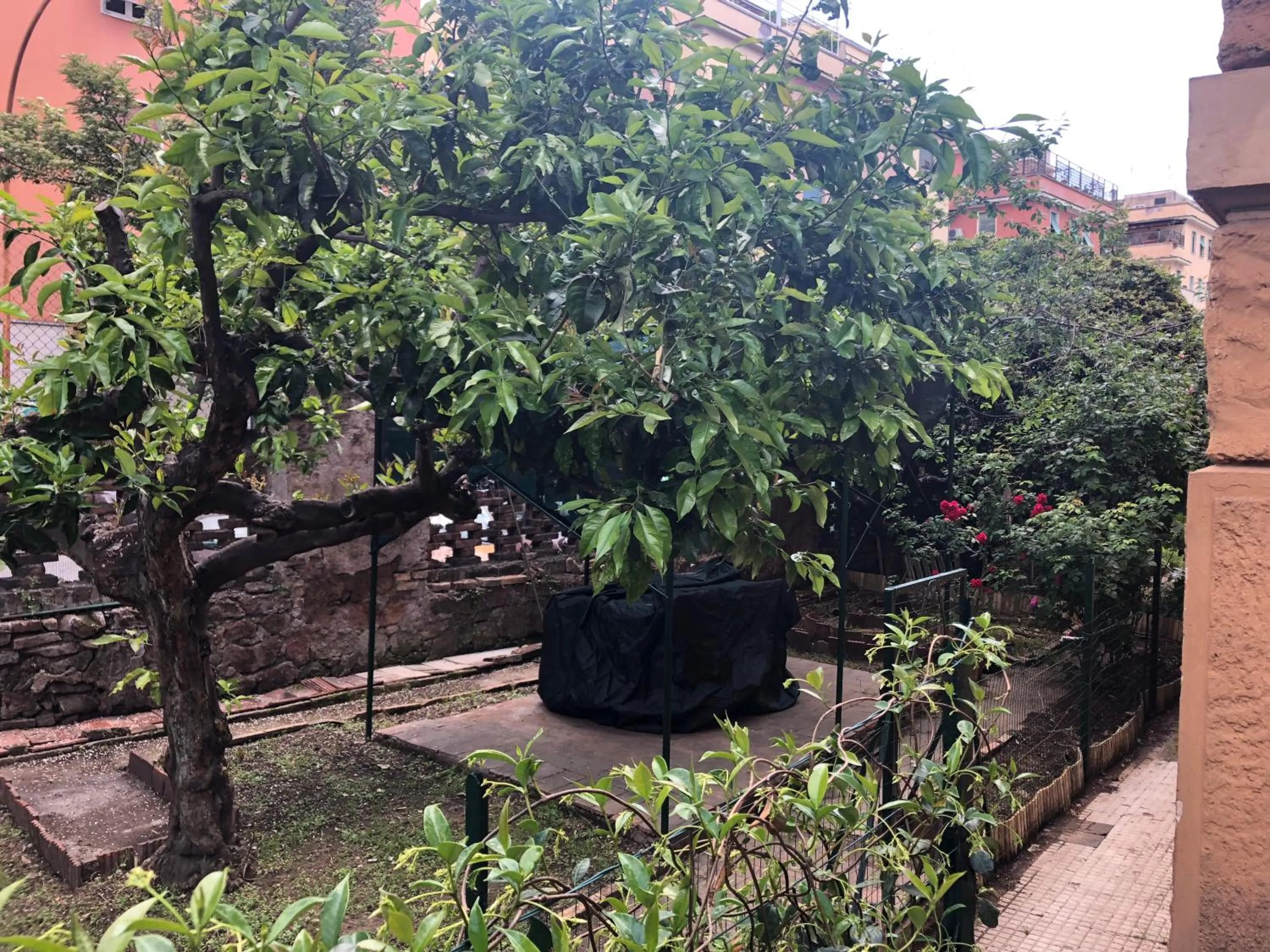 Patio in Villa Ella